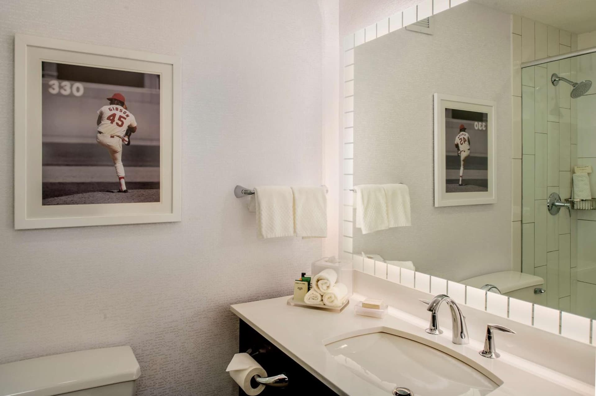 Hilton St. Louis at the Ballpark gallery photo in Saint Louis, MO — image 52