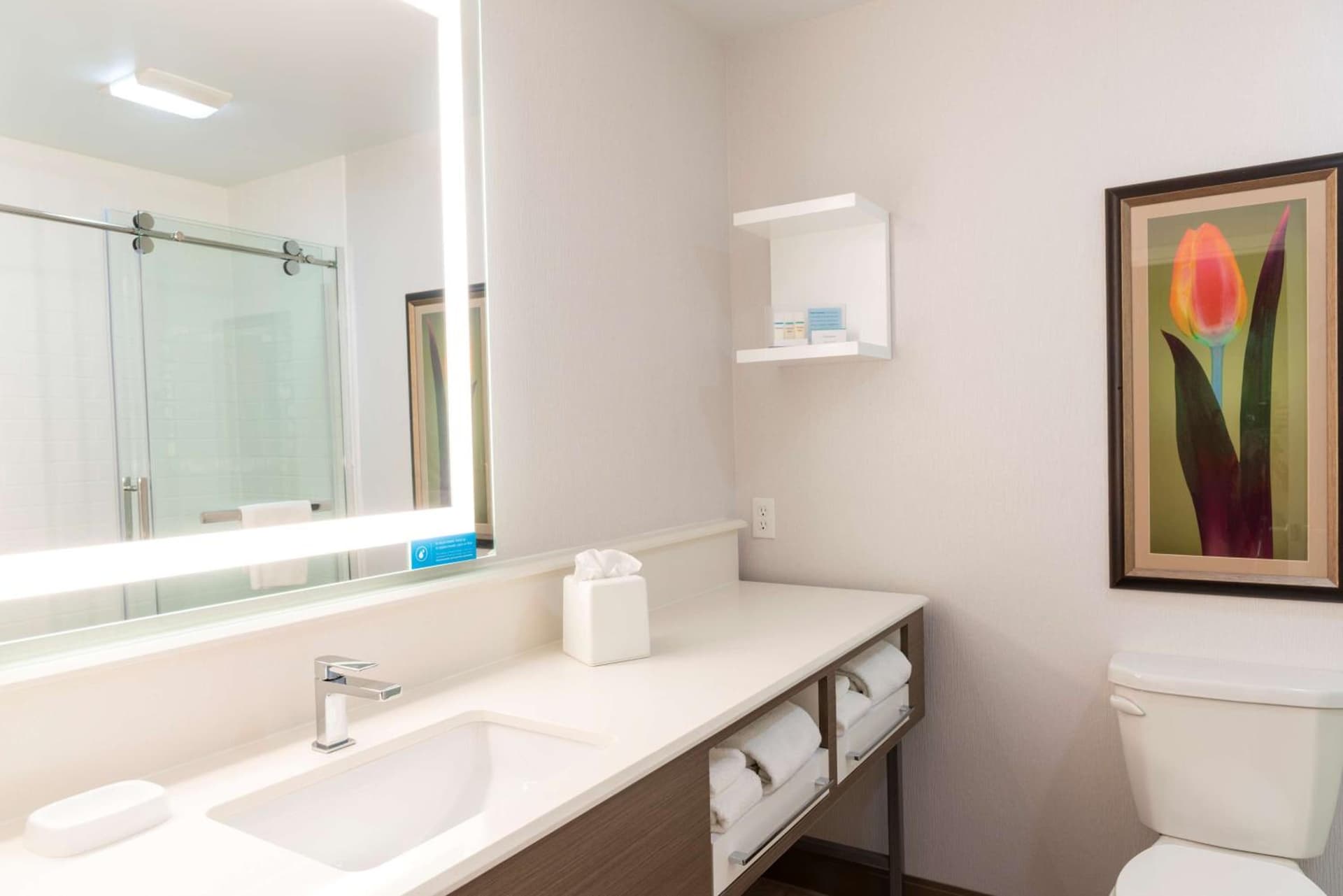 Hampton Inn Holland gallery photo in Holland, MI — image 55
