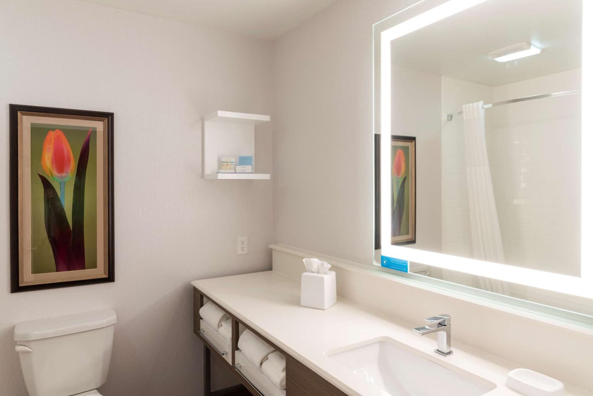Hampton Inn Holland gallery photo in Holland, MI — image 48