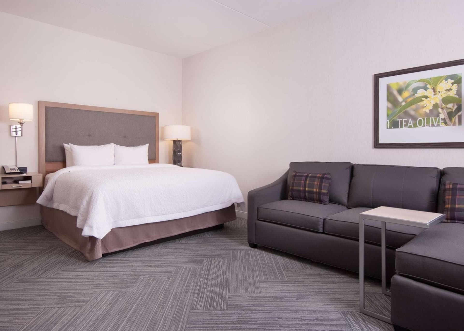 Hampton Inn & Suites by Hilton Augusta-Washington Rd gallery photo in Augusta, GA — image 6