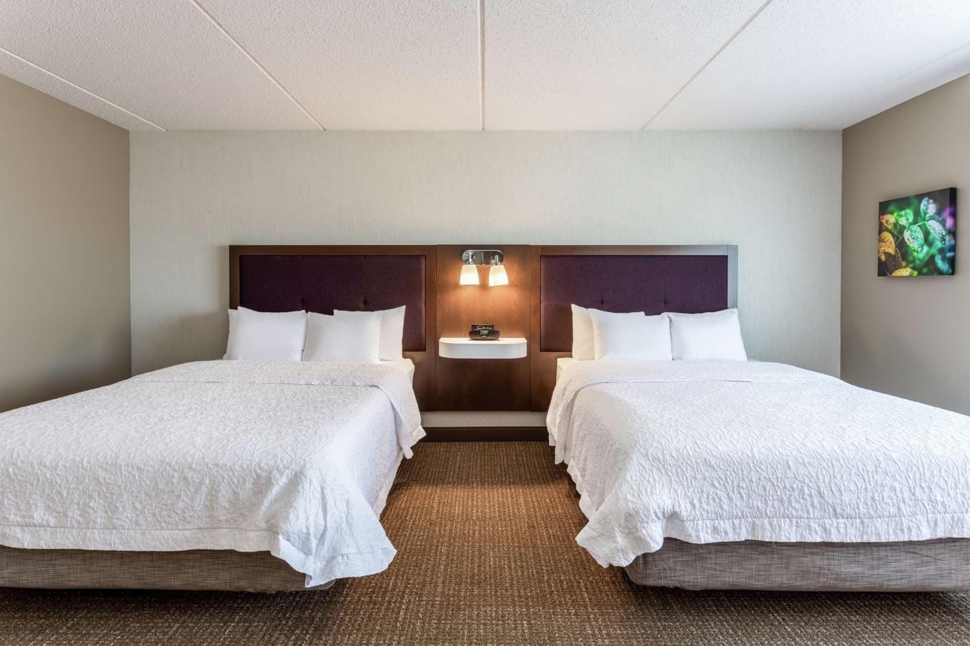 Hampton Inn & Suites Chicago - Libertyville gallery photo in Libertyville, IL — image 4