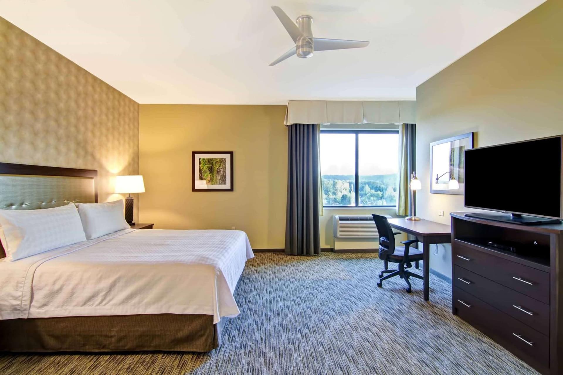Homewood Suites by Hilton Seattle-Issaquah gallery photo in Issaquah, WA — image 12