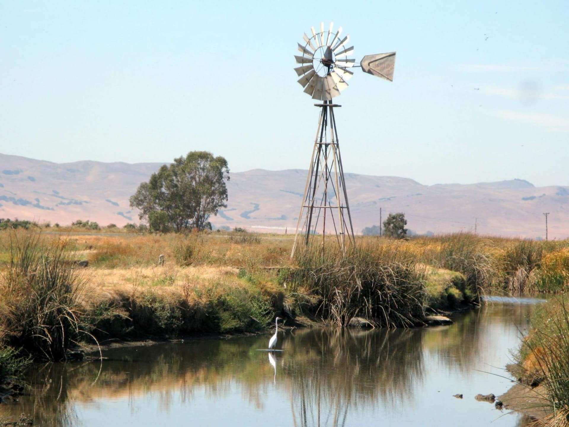 Hampton Inn & Suites Suisun City Waterfront gallery photo in Suisun City, CA — image 12