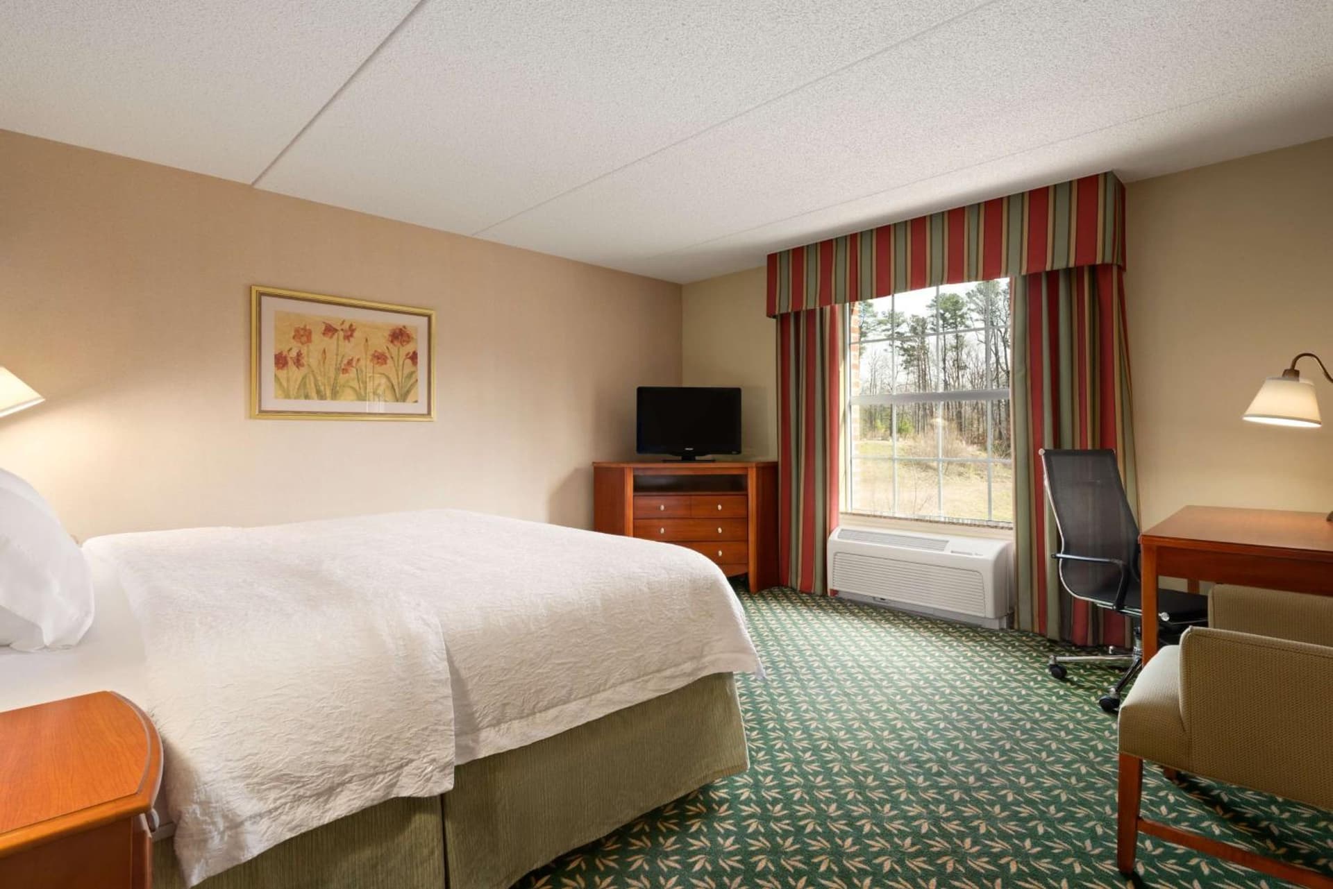 Hampton Inn & Suites Williamsburg-Central gallery photo in Williamsburg, VA — image 26