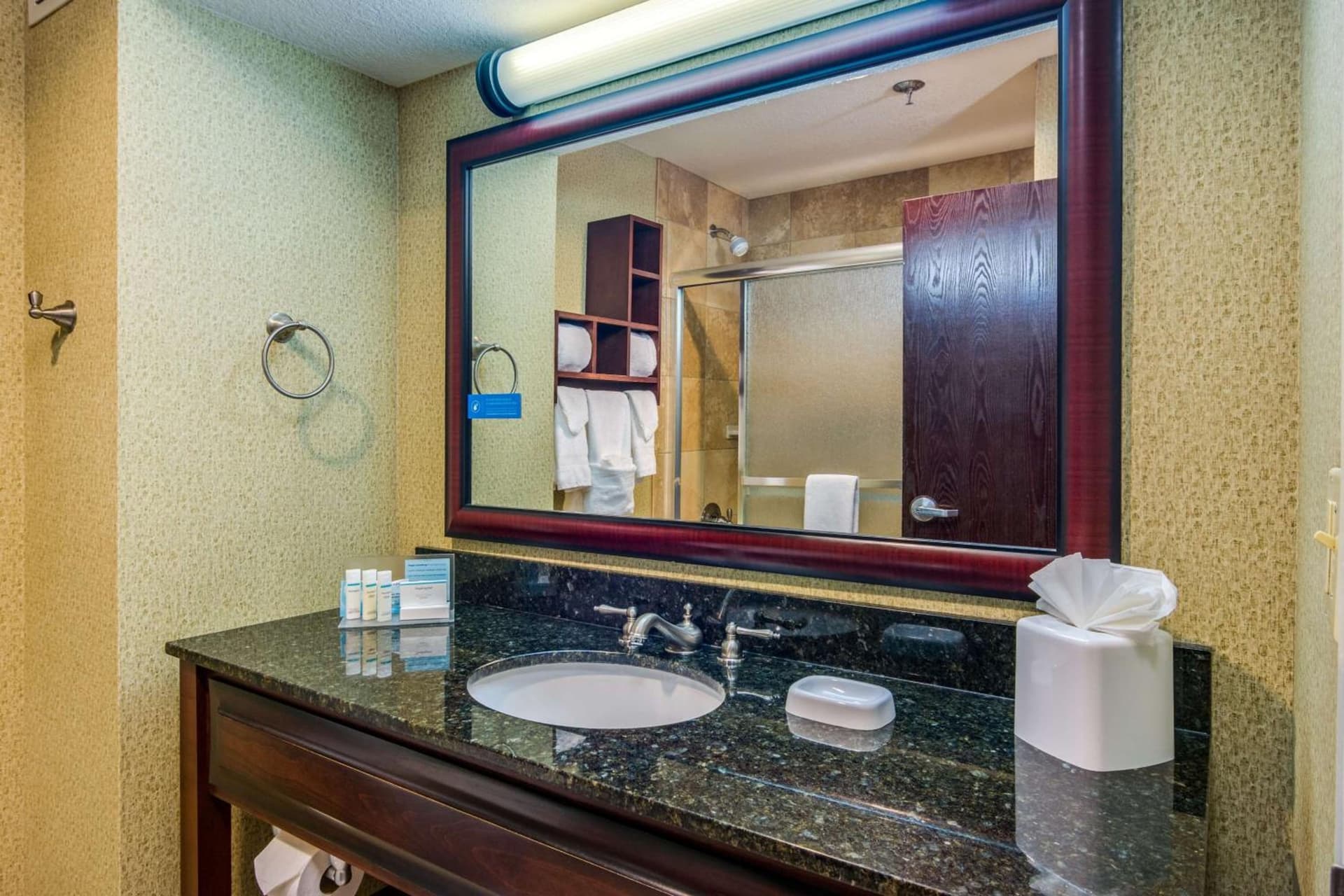 Hampton Inn Johnson City gallery photo in Johnson City, TN — image 6