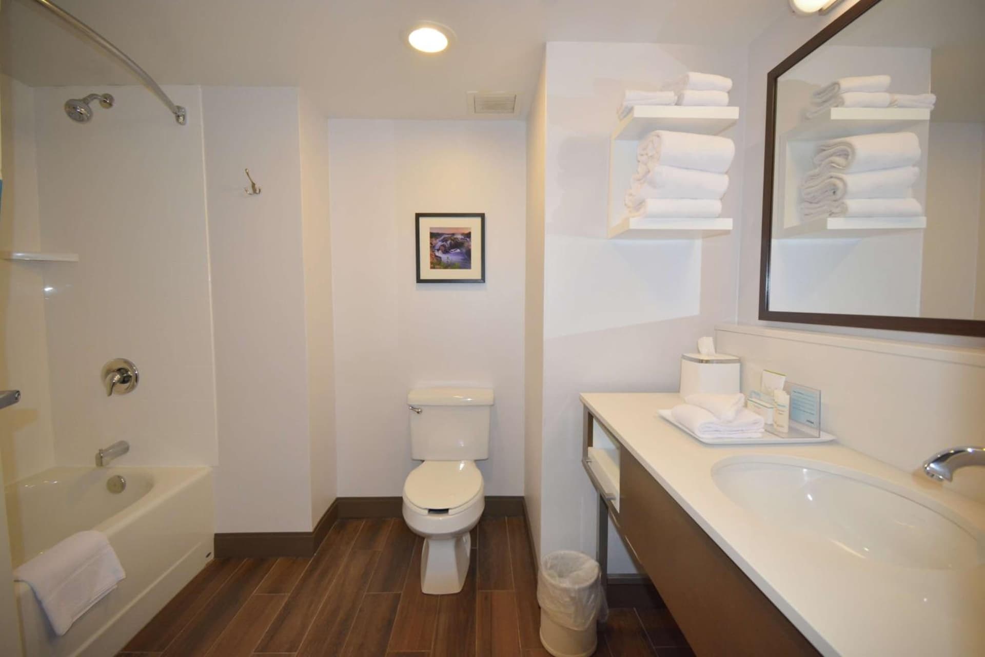 Hampton Inn Salem East - Electric Road gallery photo in Salem, VA — image 31