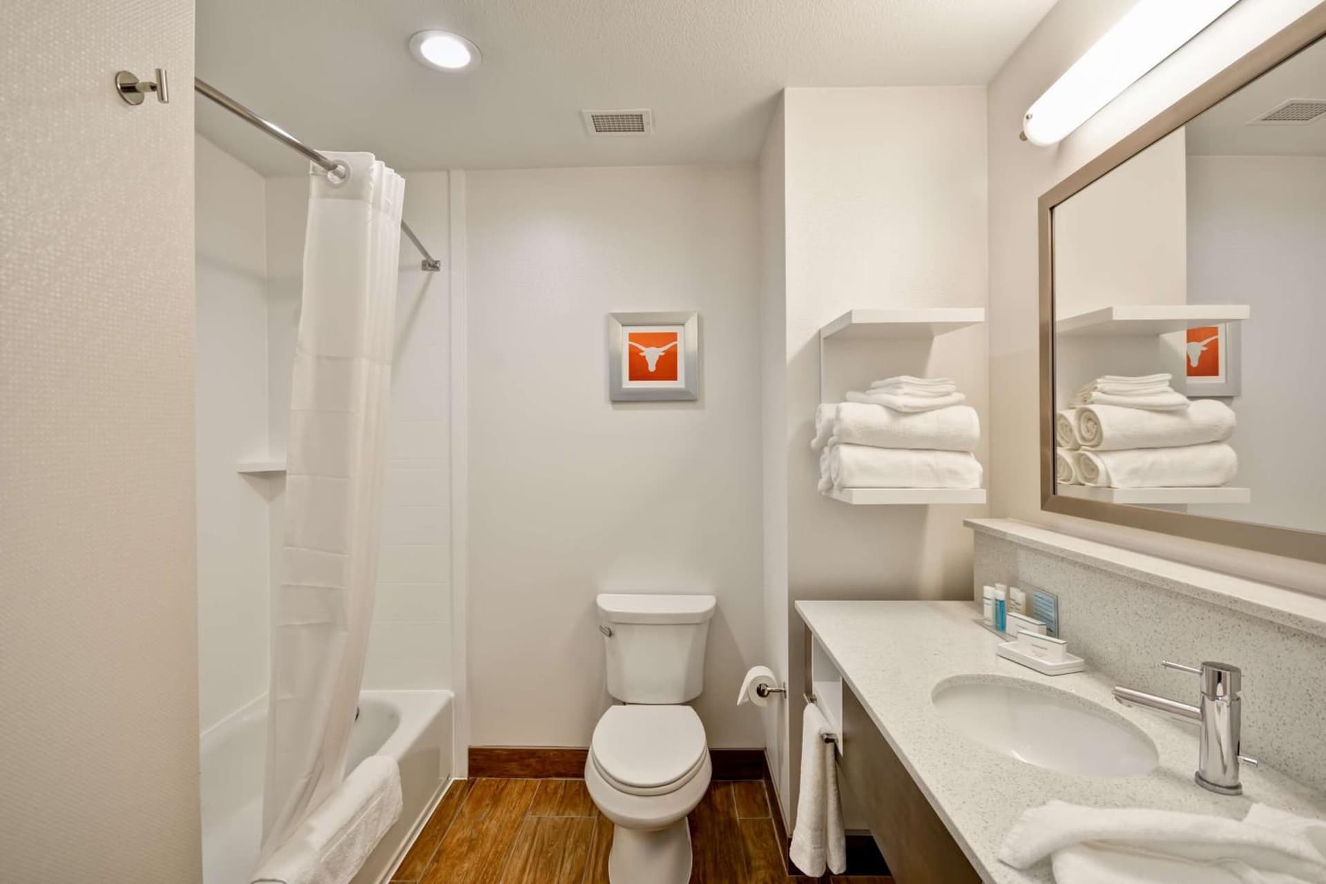 Hampton Inn Kyle gallery photo in Kyle, TX — image 9