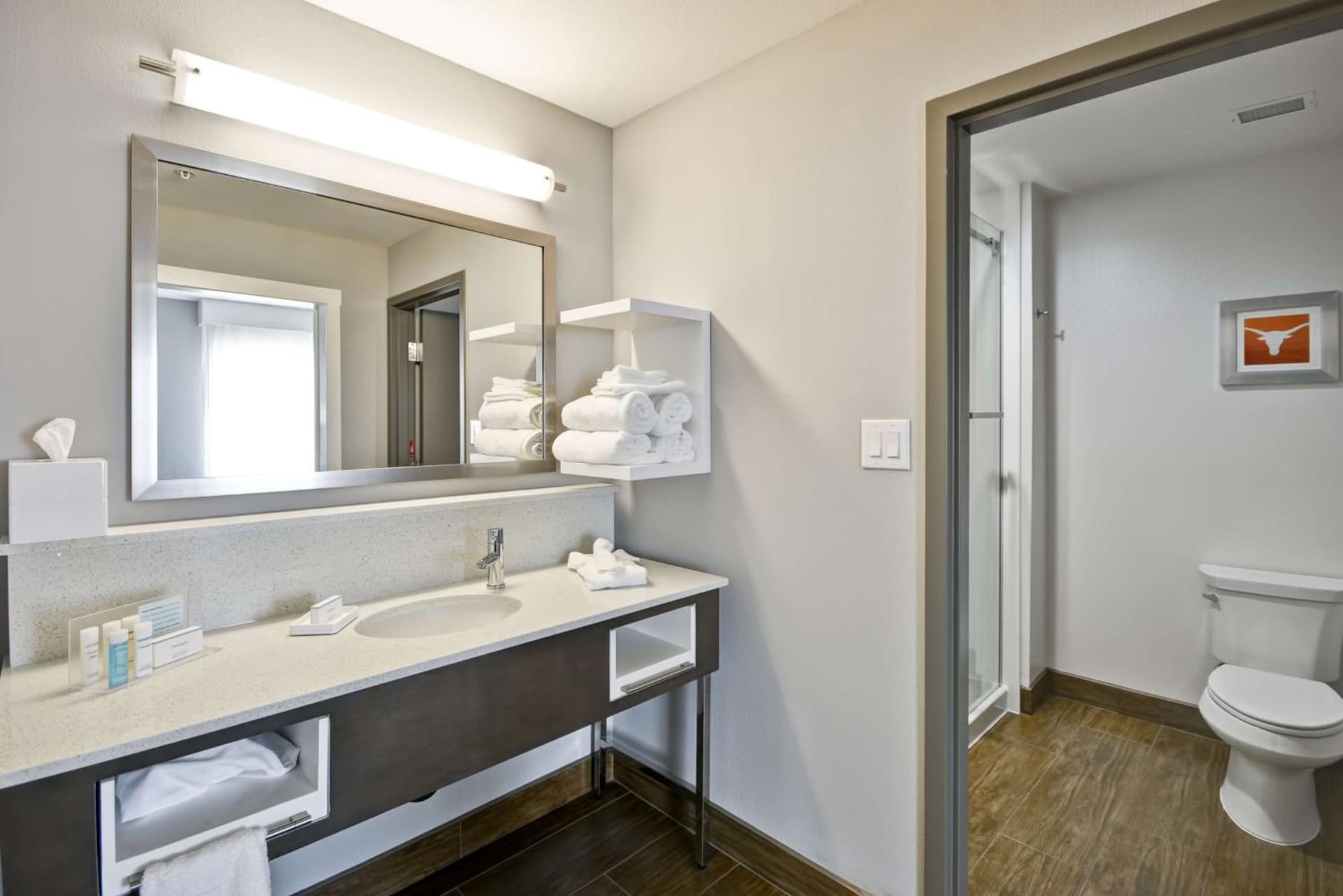 Hampton Inn Kyle gallery photo in Kyle, TX — image 14
