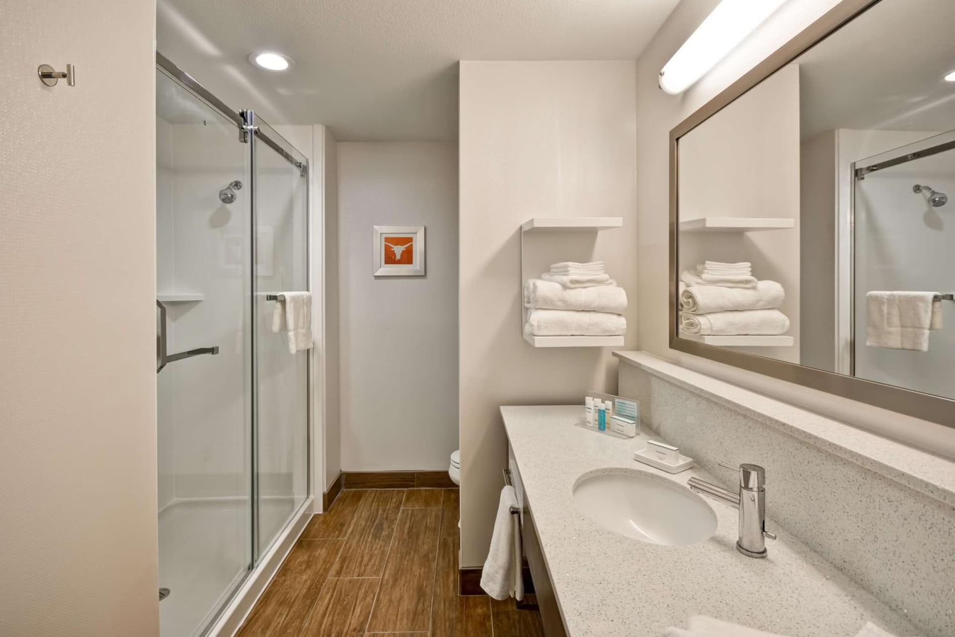 Hampton Inn Kyle gallery photo in Kyle, TX — image 21
