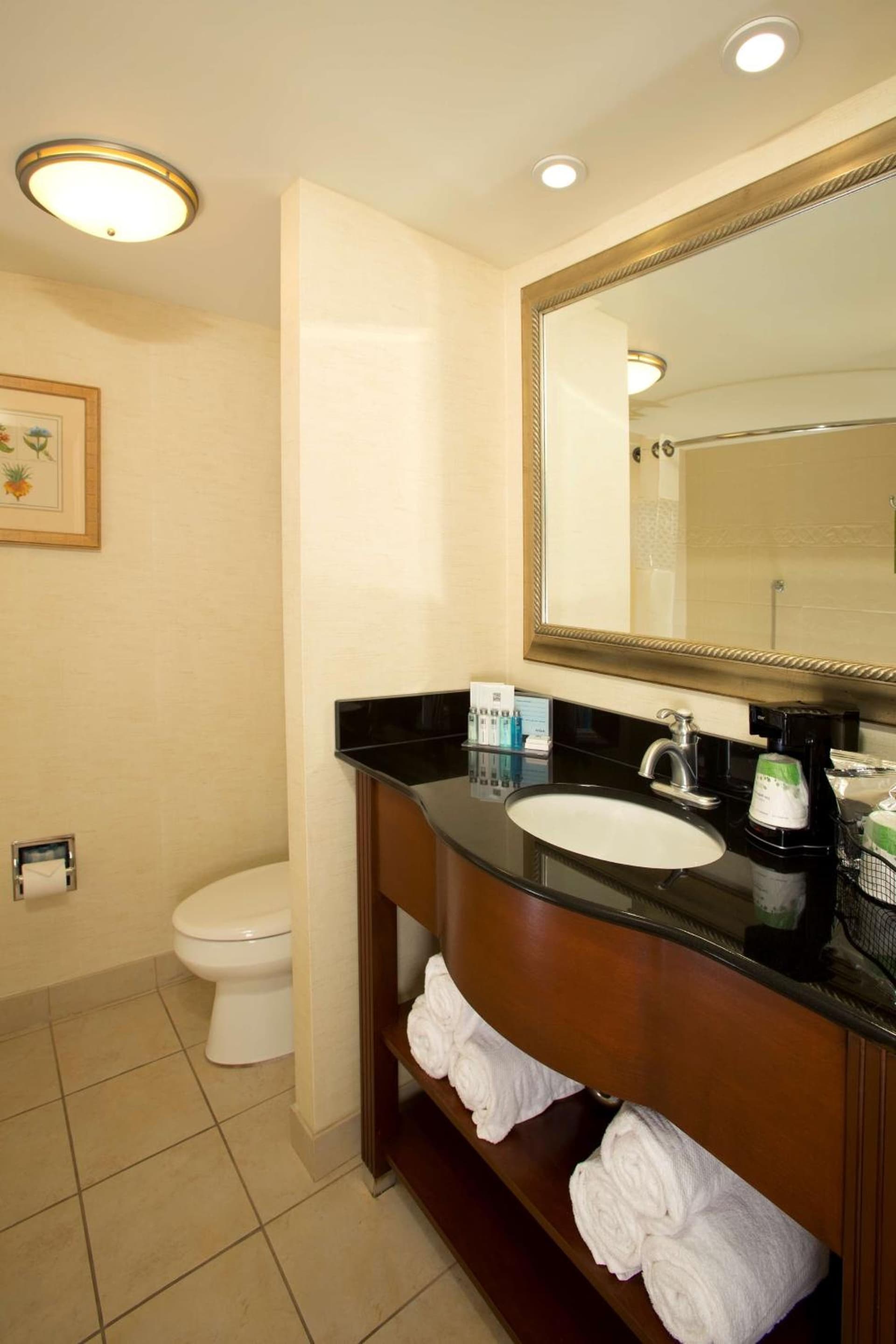 Hampton Inn Alexandria gallery photo in Alexandria, VA — image 5