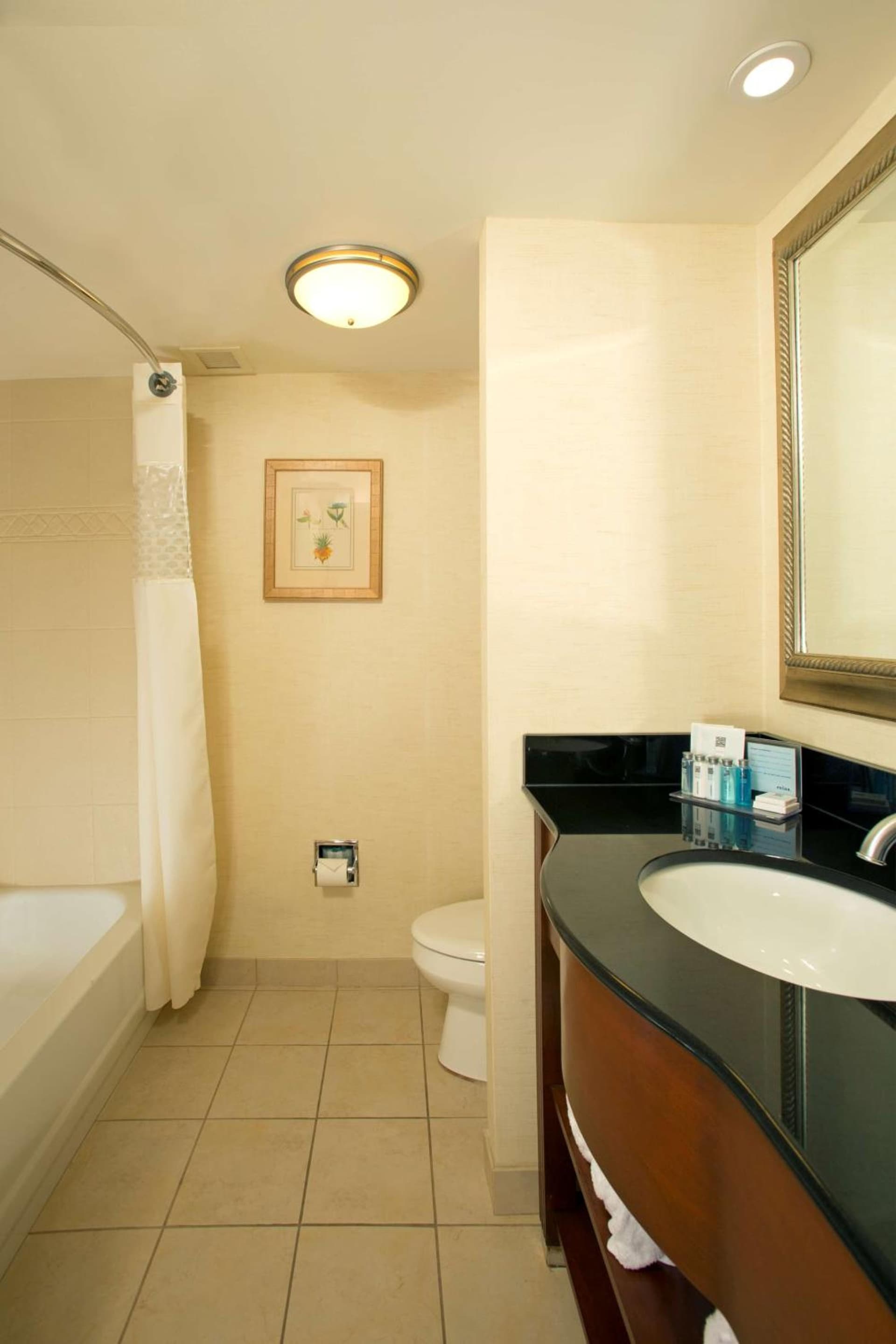 Hampton Inn Alexandria gallery photo in Alexandria, VA — image 7