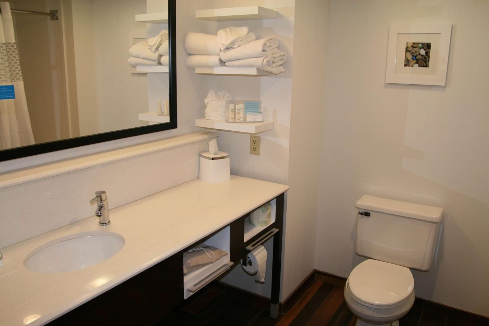 Hampton Inn Birch Run gallery photo in Birch Run, MI — image 23