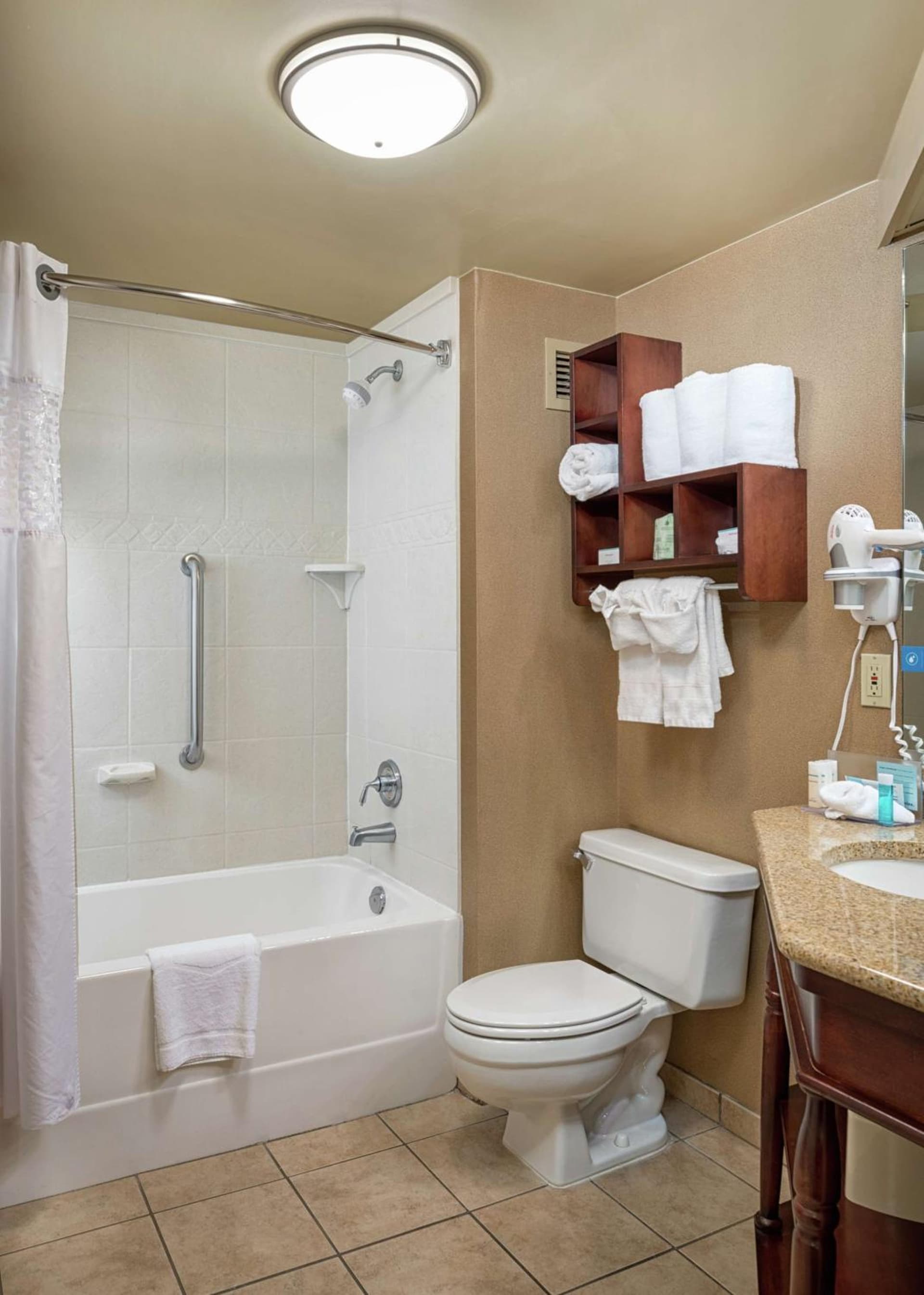 Hampton Inn Tuscaloosa-University gallery photo in Tuscaloosa, AL — image 24
