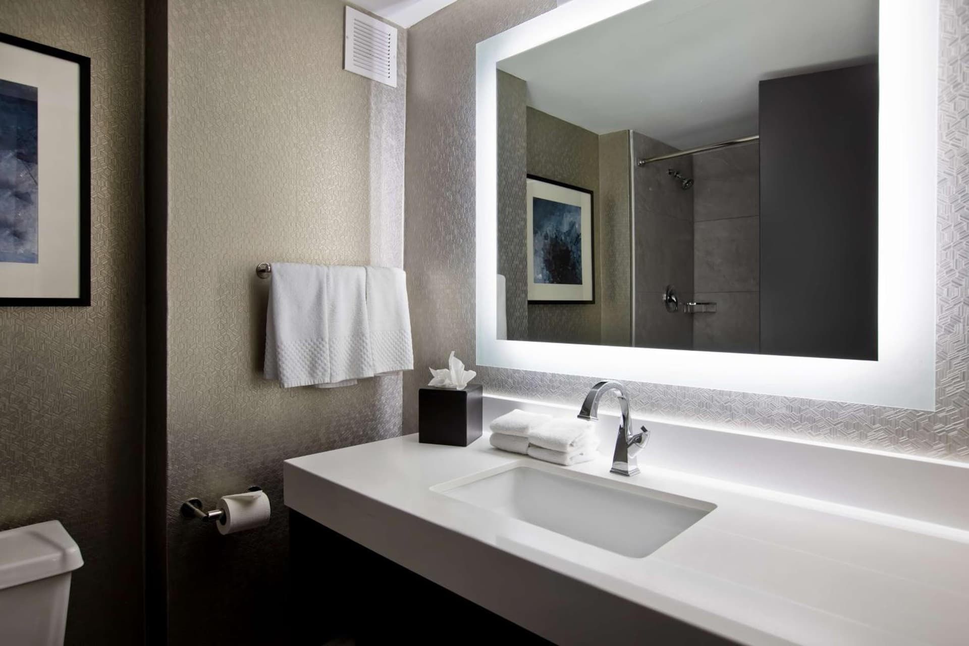 Embassy Suites Syracuse gallery photo in East Syracuse, NY — image 46