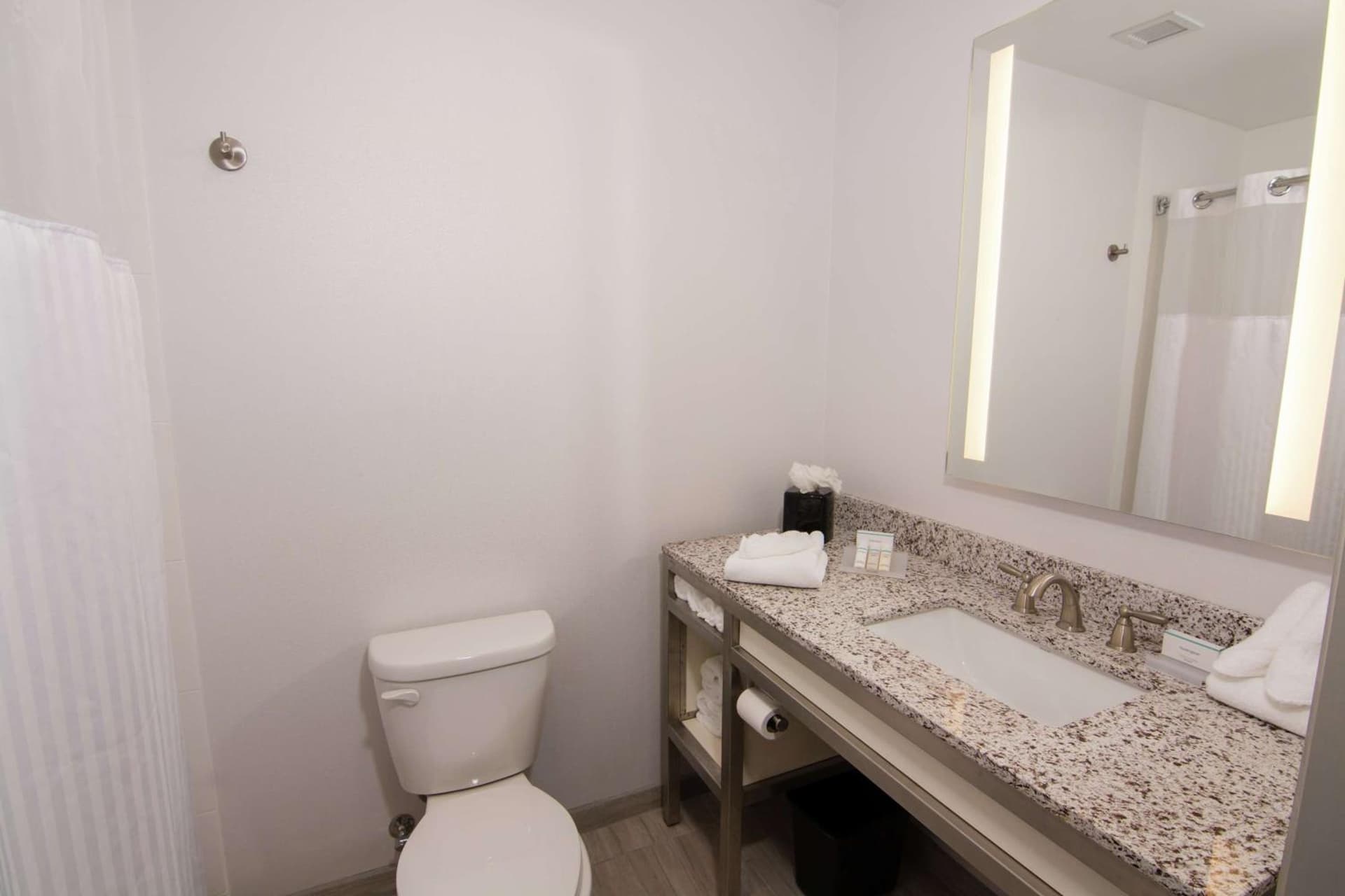 Hilton Garden Inn Tampa Suncoast Parkway gallery photo in Lutz, FL — image 4