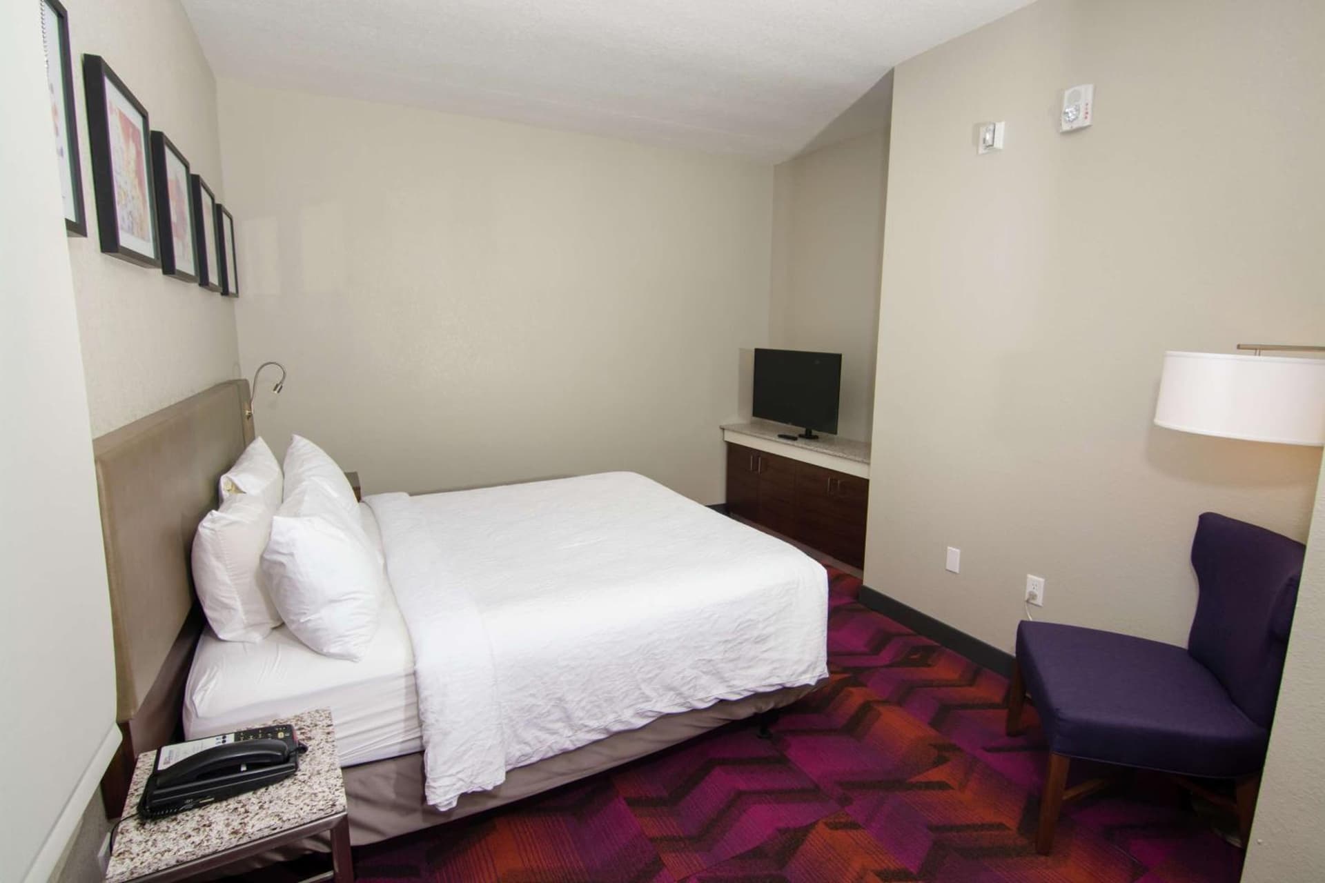 Hilton Garden Inn Tampa Suncoast Parkway gallery photo in Lutz, FL — image 34