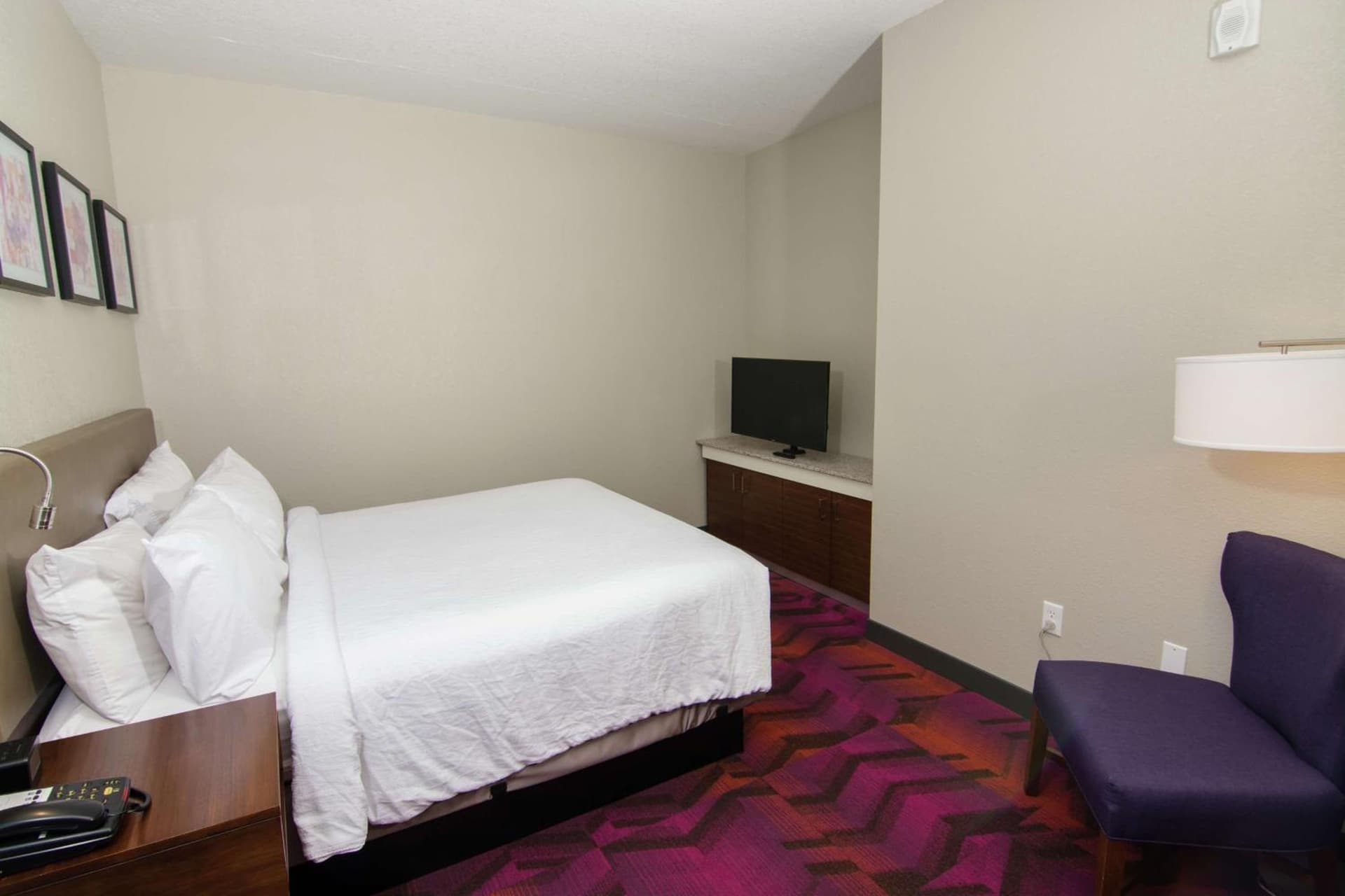 Hilton Garden Inn Tampa Suncoast Parkway gallery photo in Lutz, FL — image 37