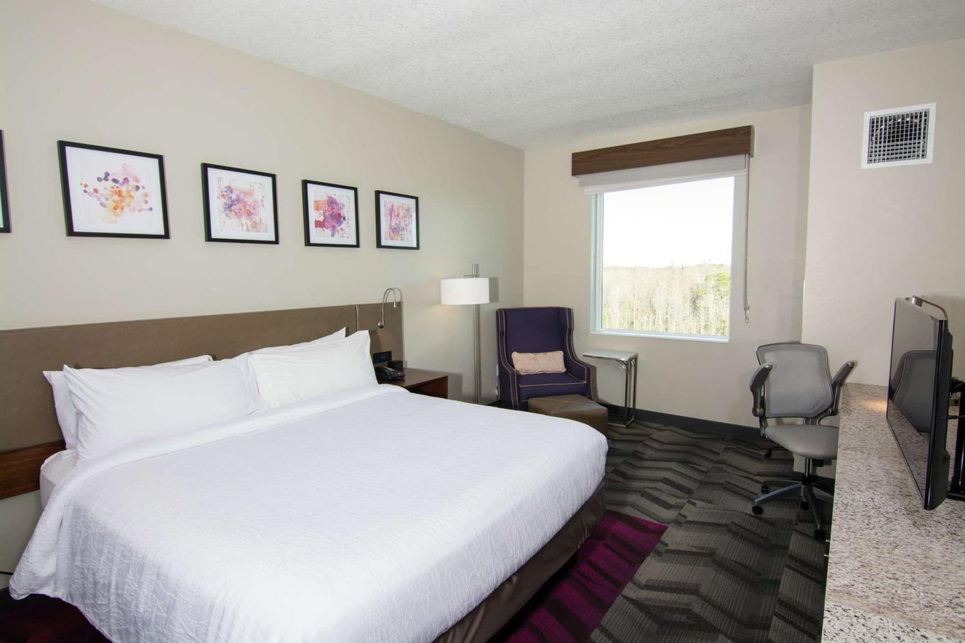 Hilton Garden Inn Tampa Suncoast Parkway gallery photo in Lutz, FL — image 27