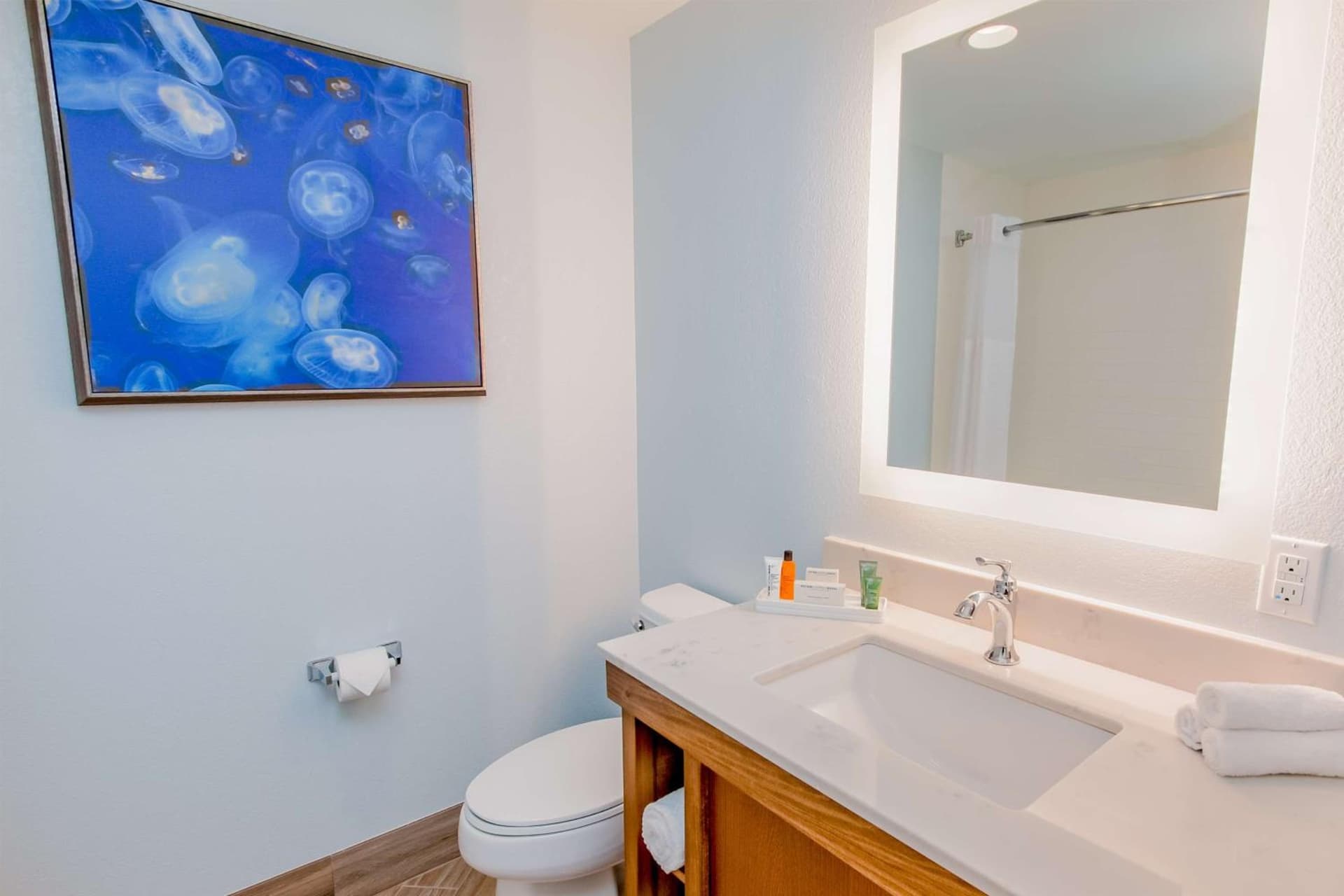 Hilton Pensacola Beach gallery photo in Pensacola Beach, FL — image 16