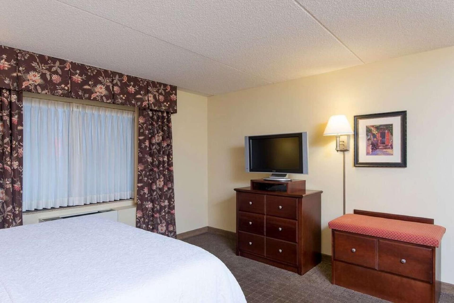 Hampton Inn Schenectady Downtown gallery photo in Schenectady, NY — image 23