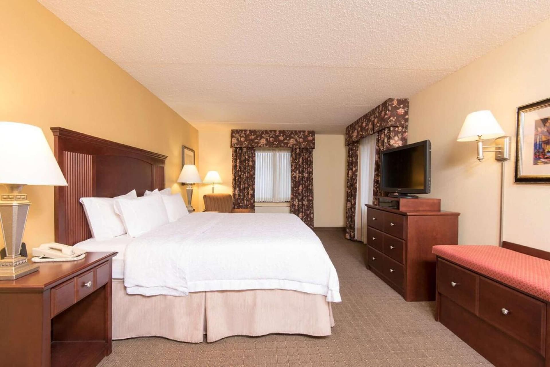 Hampton Inn Schenectady Downtown gallery photo in Schenectady, NY — image 8