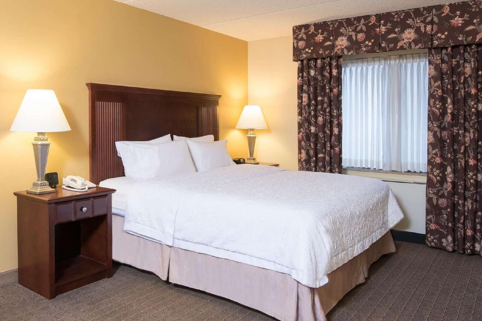 Hampton Inn Schenectady Downtown gallery photo in Schenectady, NY — image 10