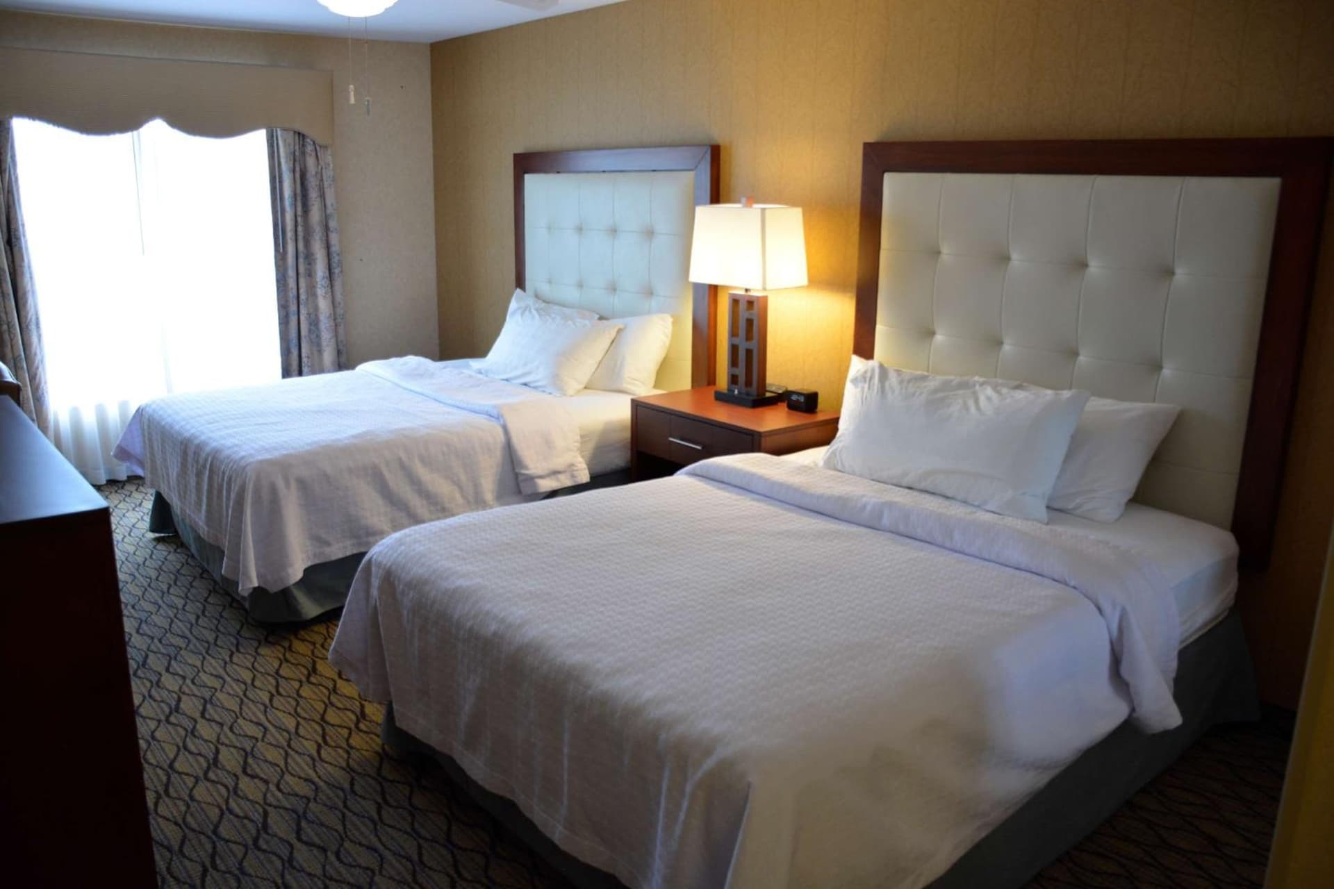 Homewood Suites by Hilton Brighton gallery photo in Brighton, MI — image 24