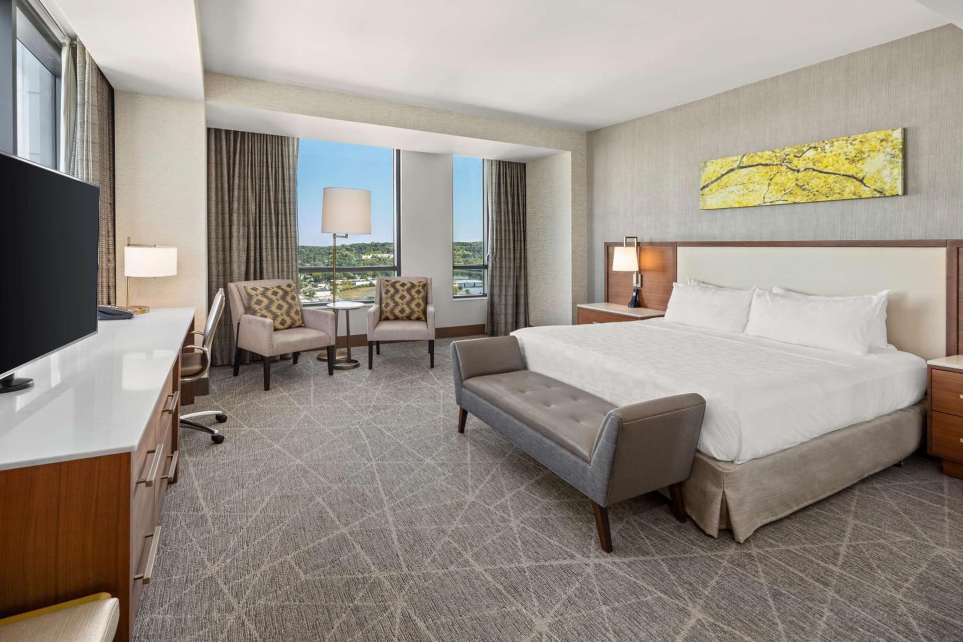 Hilton Rochester Mayo Clinic Area gallery photo in Rochester, MN — image 17