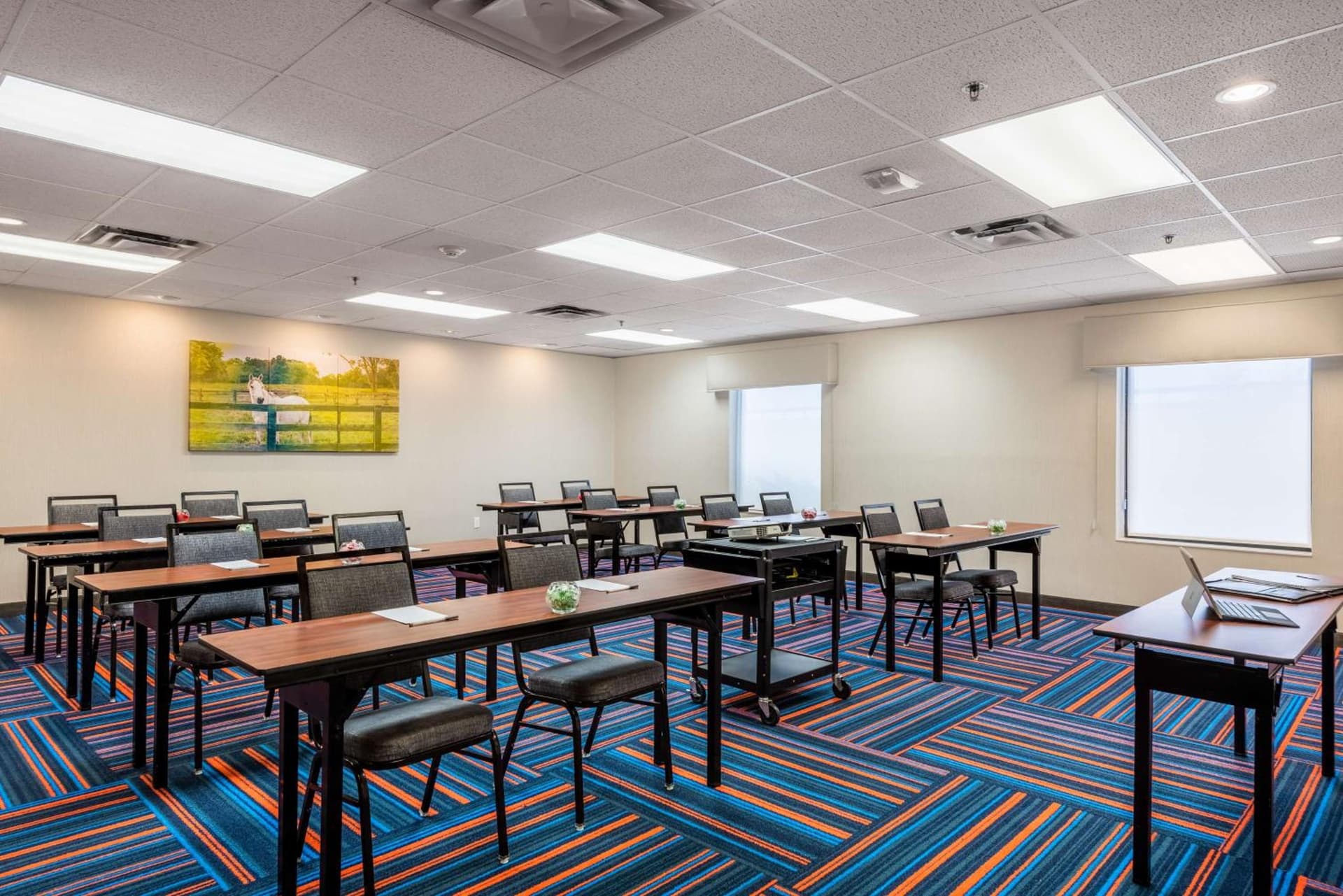 Hampton Inn & Suites Hopkinsville gallery photo in Hopkinsville, KY — image 19
