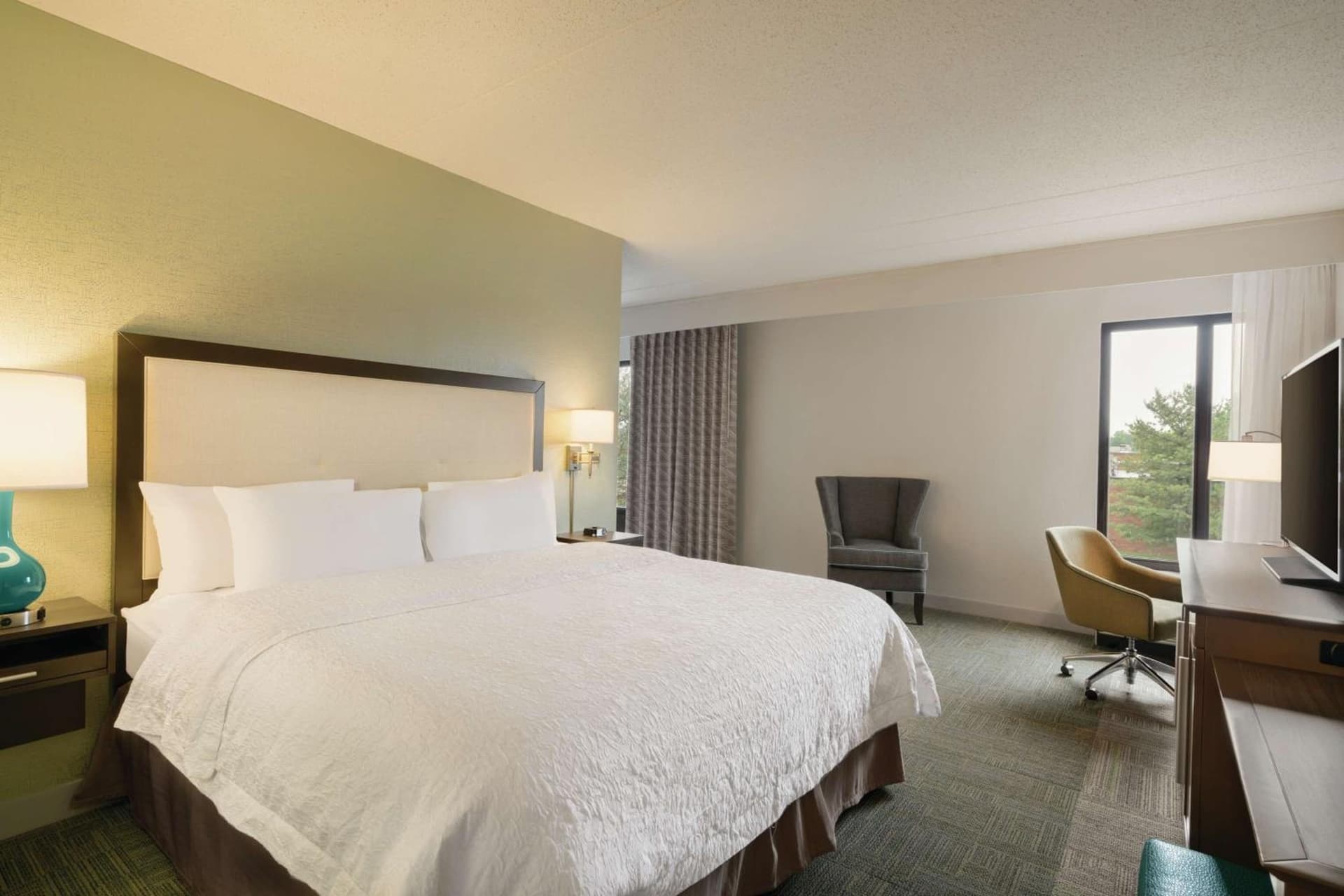 Hampton Inn Reading/Wyomissing gallery photo in Wyomissing, PA — image 7
