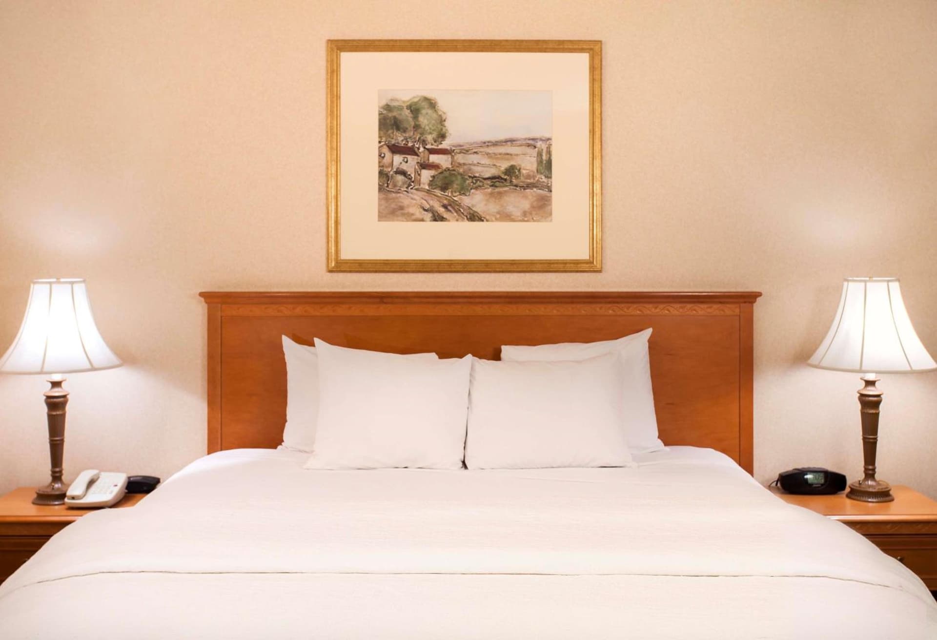 Hampton Inn & Suites Addison gallery photo in Addison, IL — image 13