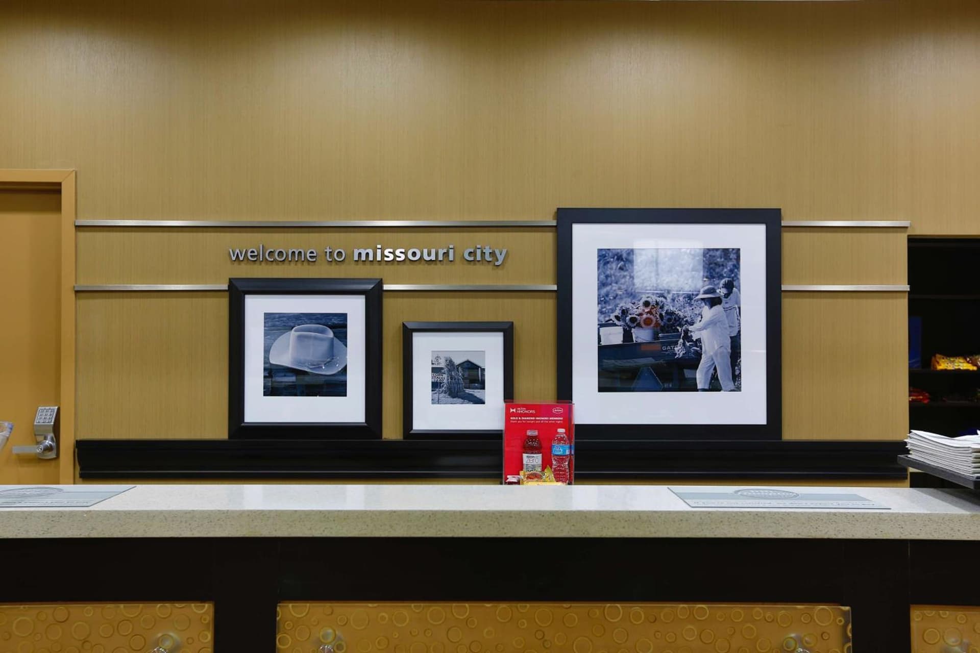 Hampton Inn and Suites Missouri City gallery photo in Missouri City, TX — image 16