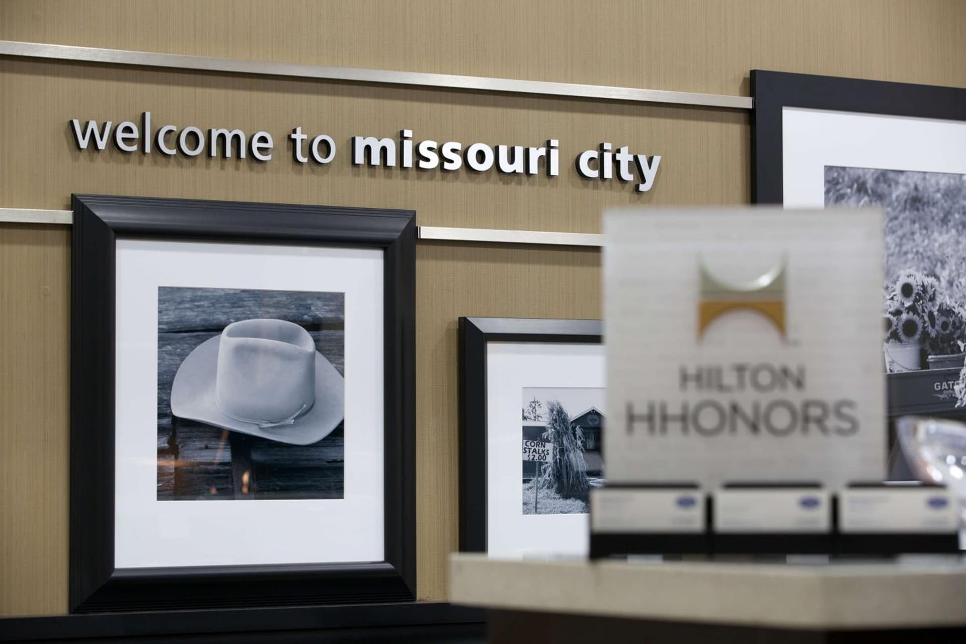 Hampton Inn and Suites Missouri City interior in Missouri City, TX — gallery photo 2