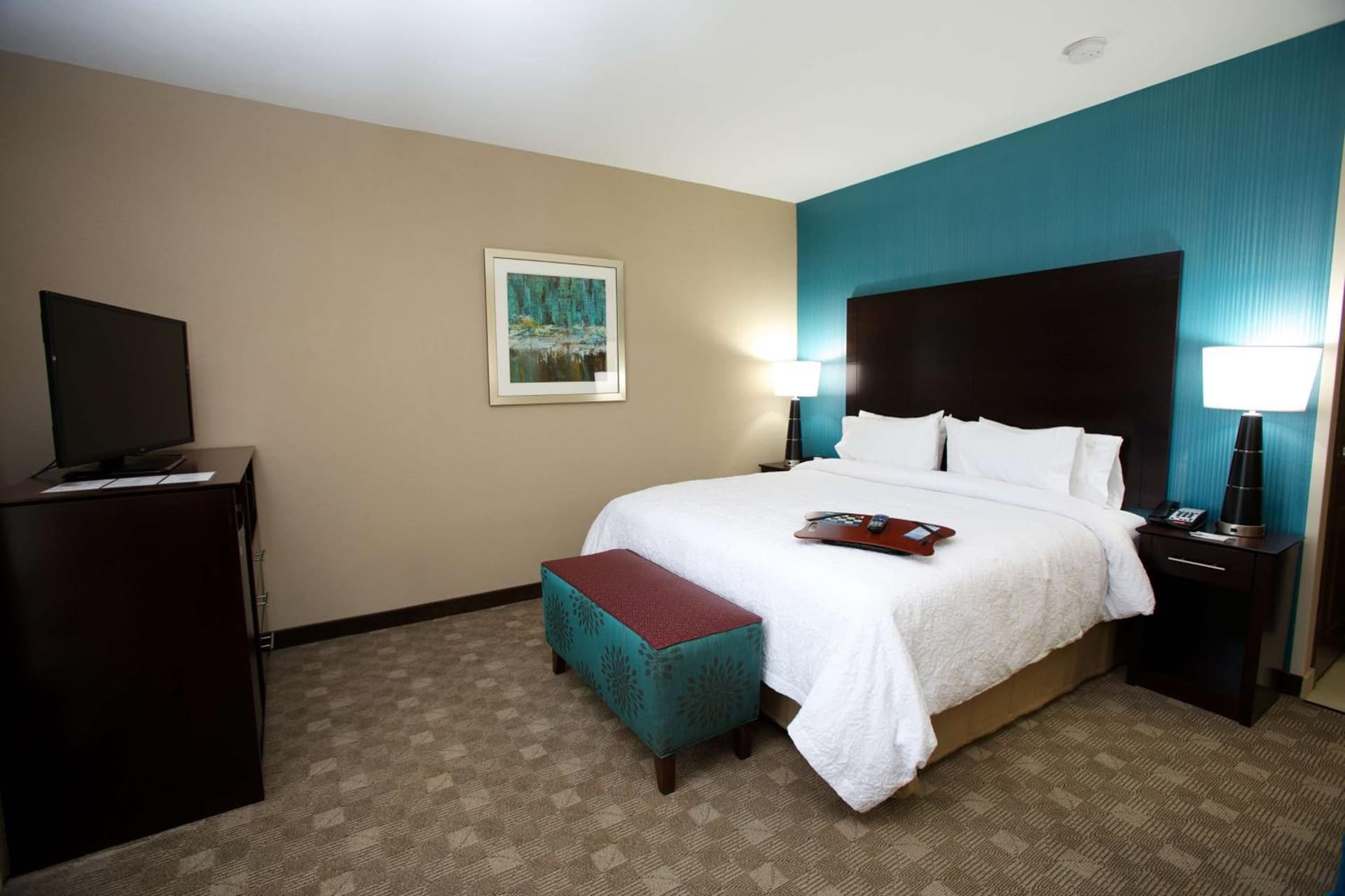 Hampton Inn and Suites Missouri City gallery photo in Missouri City, TX — image 13