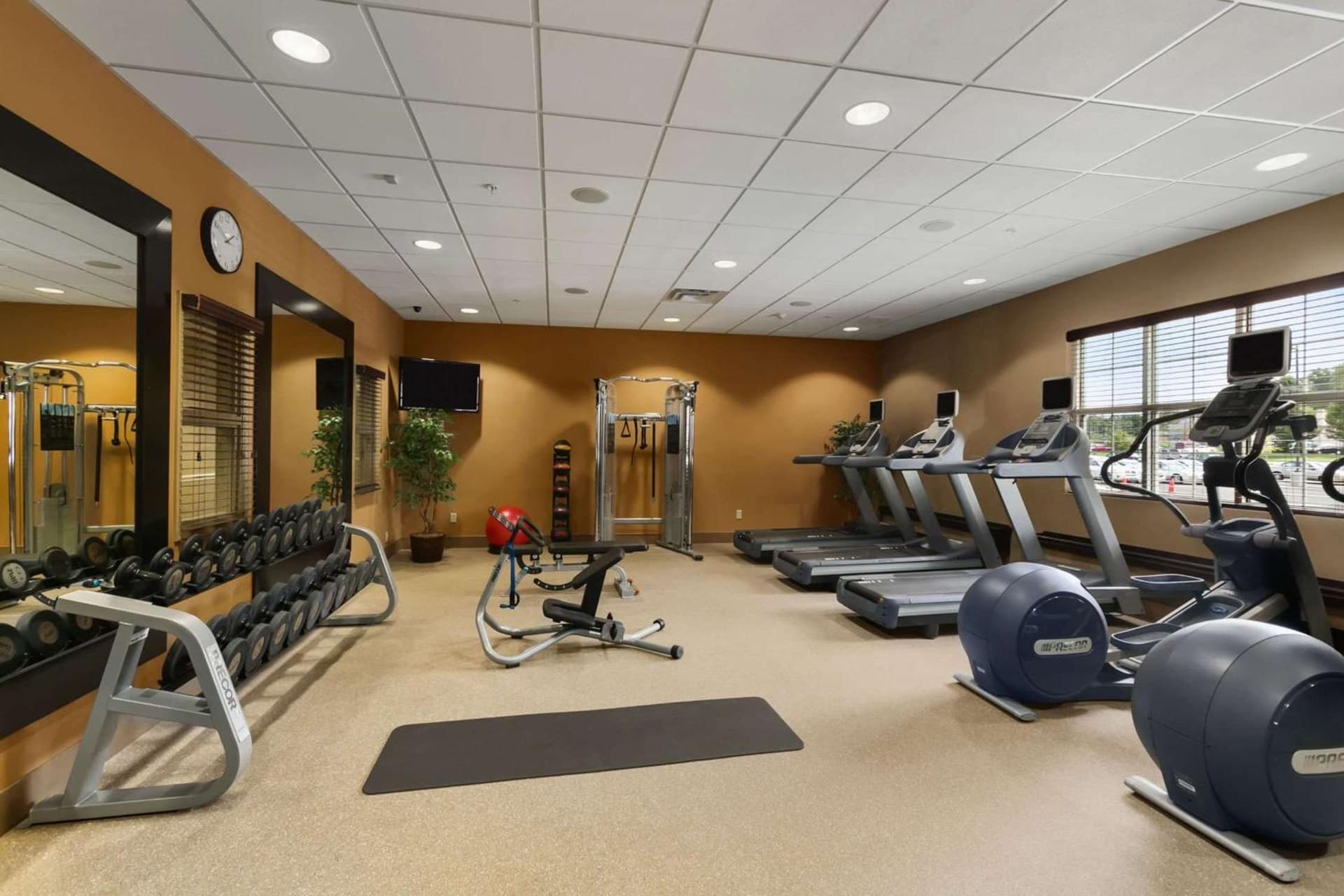 Homewood Suites by Hilton Binghamton/Vestal gallery photo in Vestal — image 5