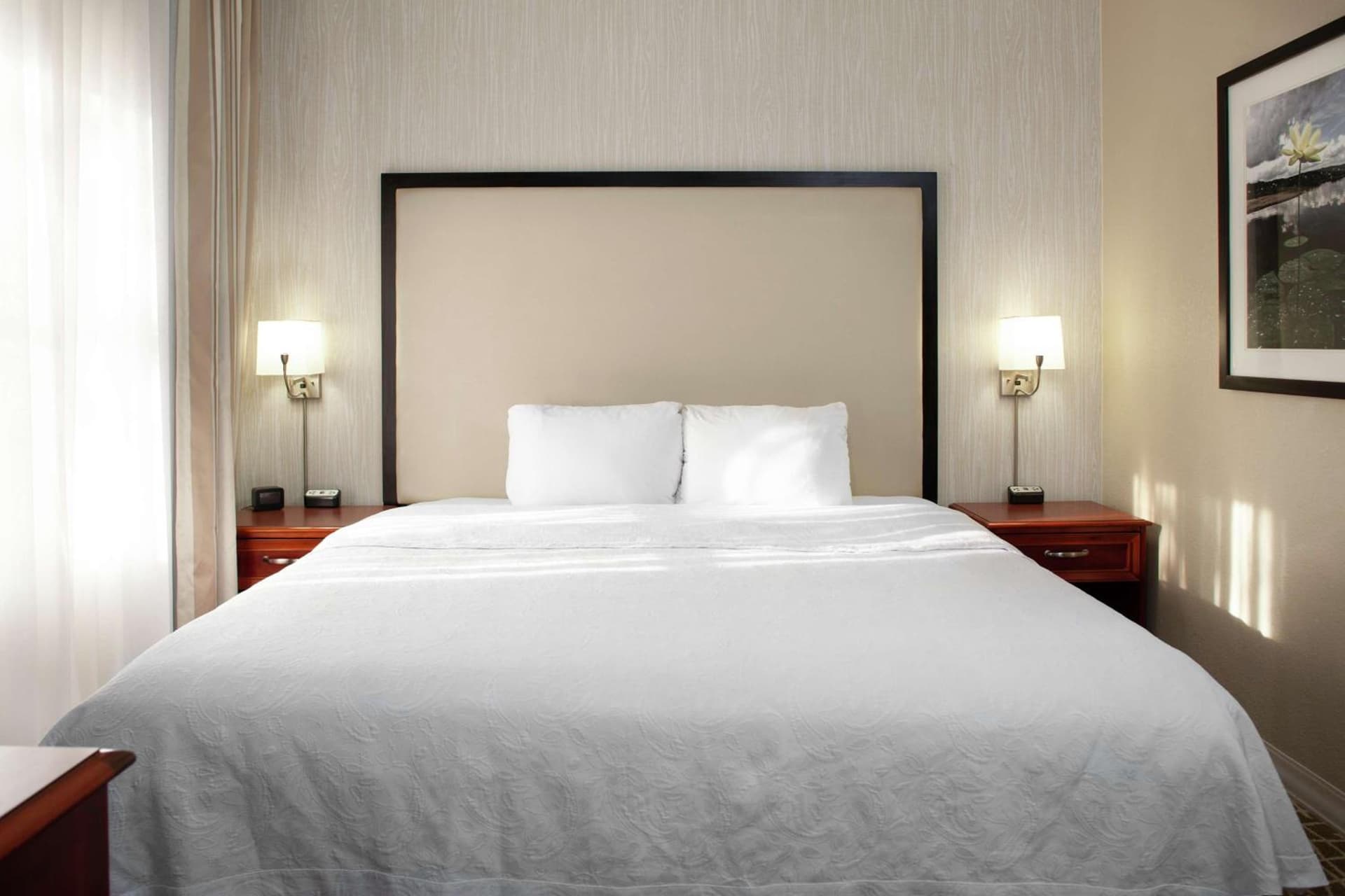 Homewood Suites by Hilton Tallahassee gallery photo in Tallahassee, FL — image 11