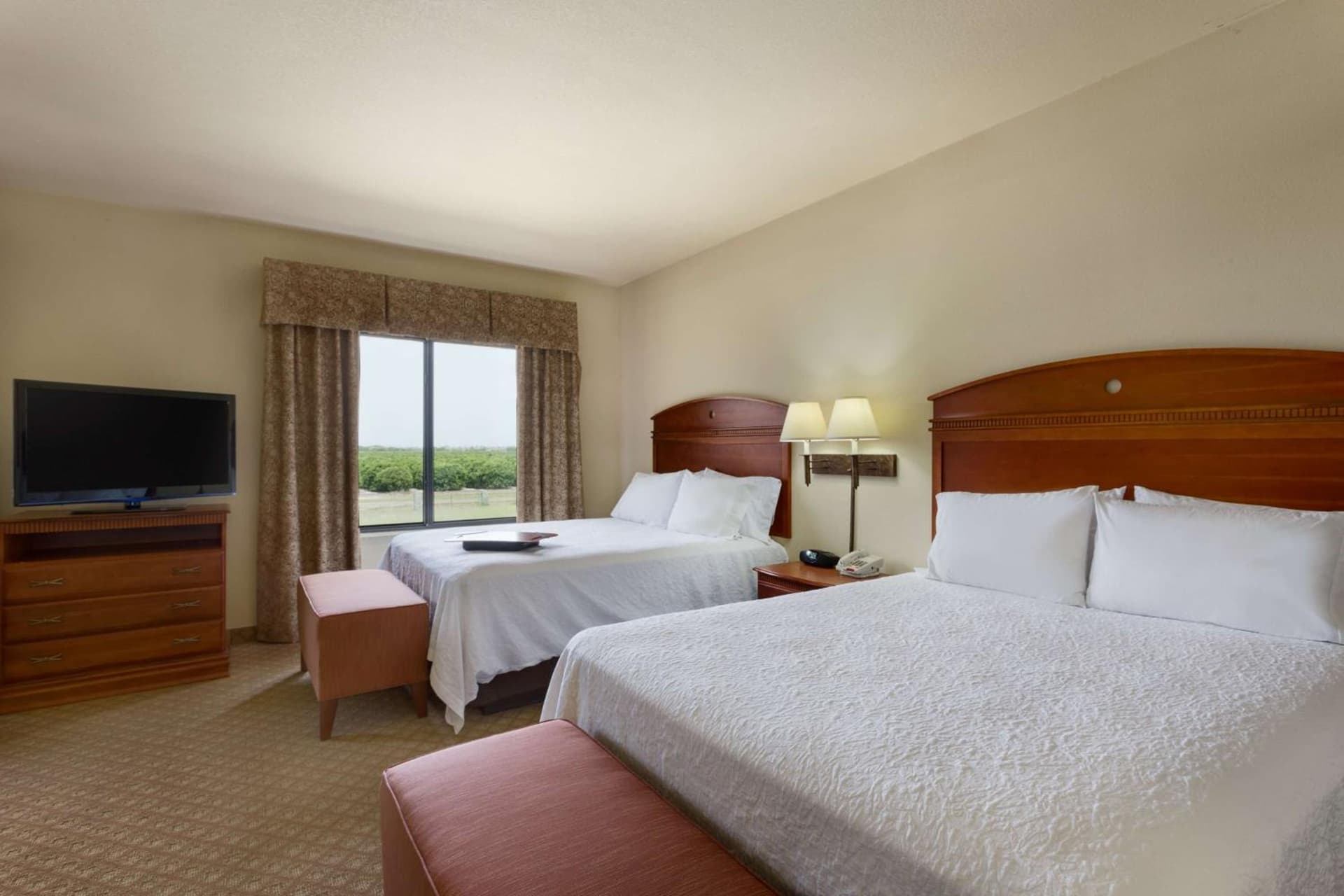 Hampton Inn & Suites Pharr gallery photo in Pharr, TX — image 9