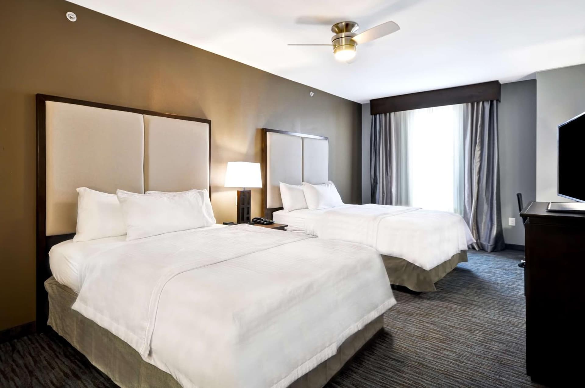 Homewood Suites by Hilton New Braunfels gallery photo in New Braunfels, TX — image 44