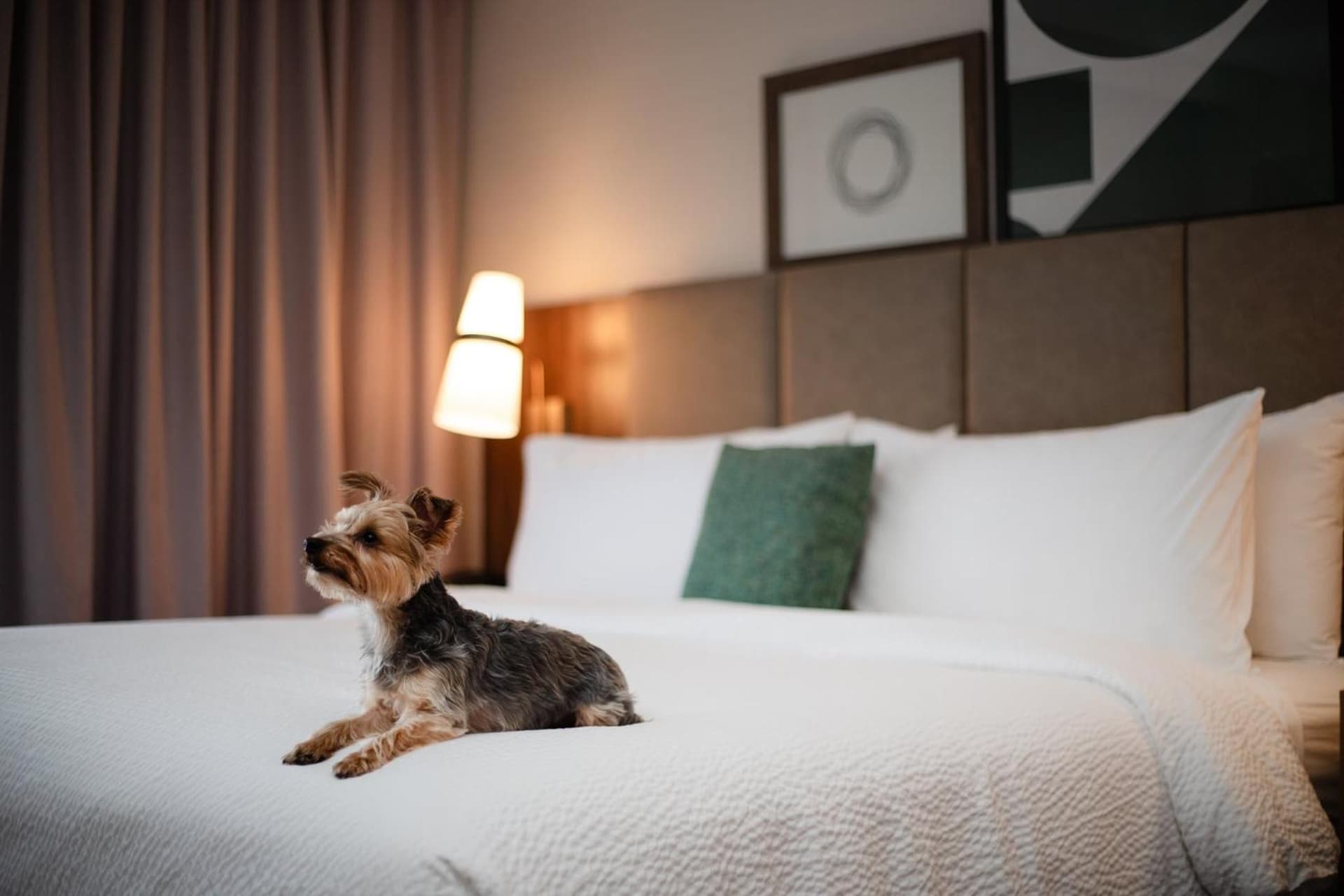 Staybridge Suites Chicago O'Hare - Rosemont by IHG gallery photo in Rosemont, IL — image 18