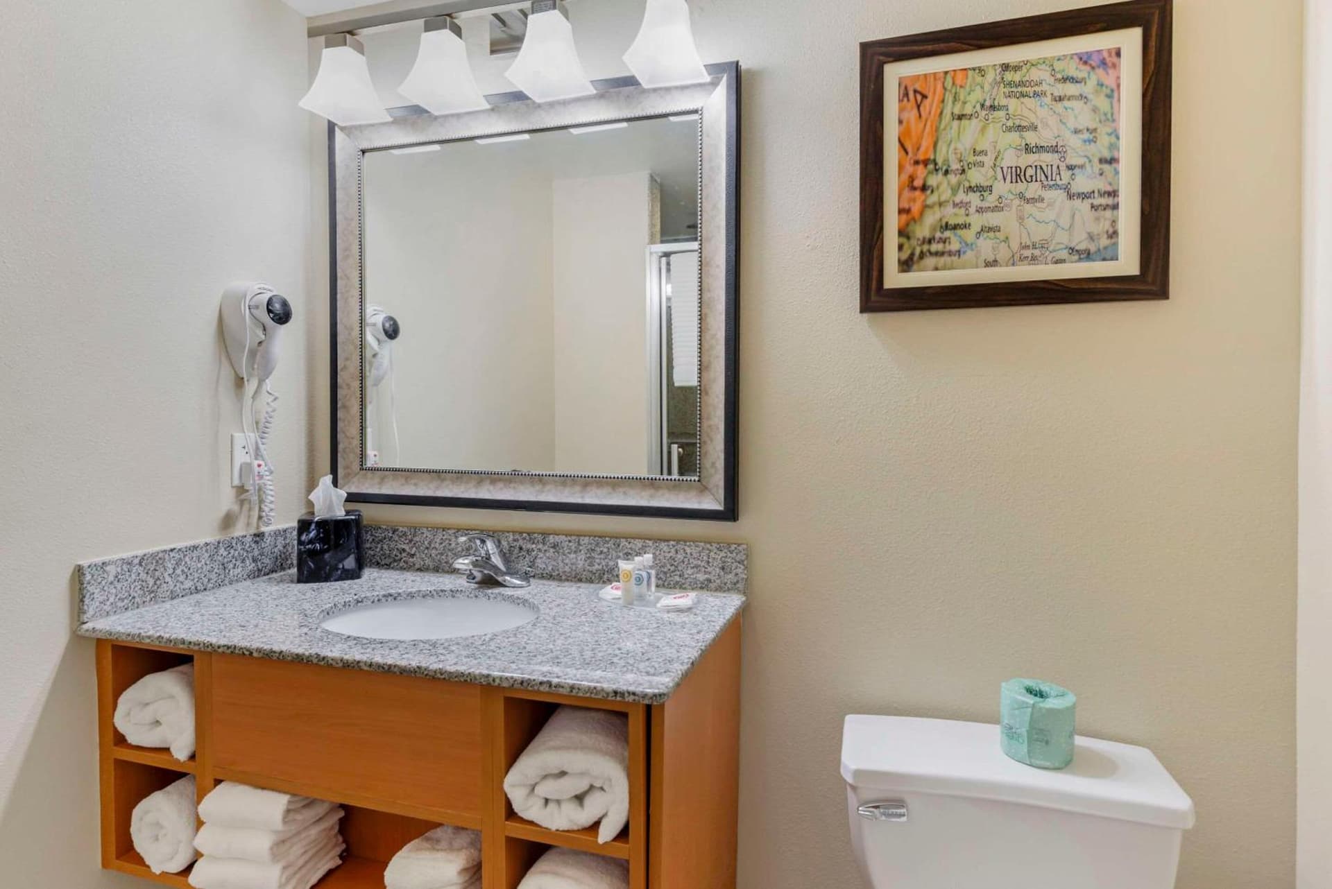 Comfort Suites At Virginia Center Commons gallery photo in Richmond, VA — image 64