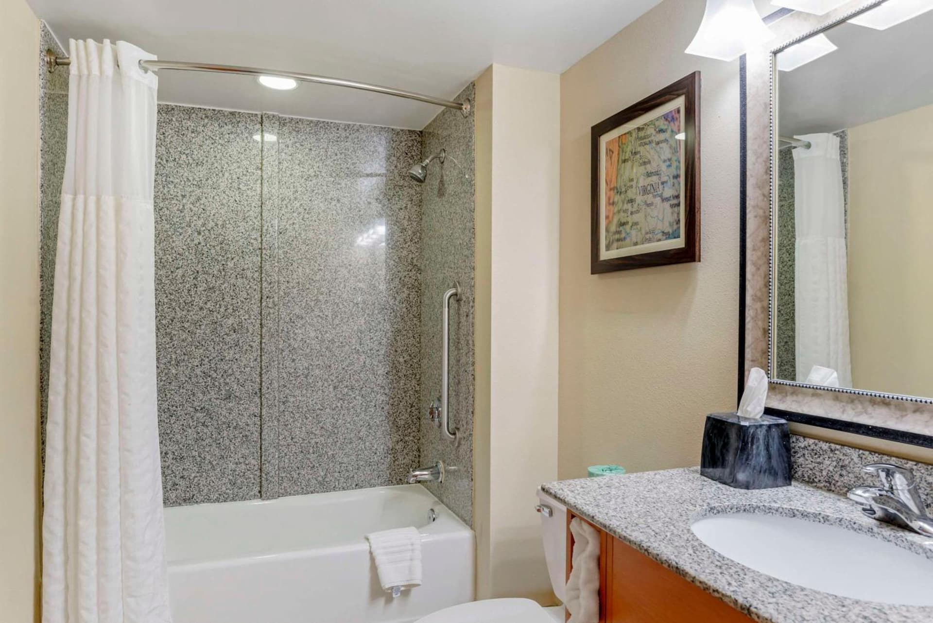 Comfort Suites At Virginia Center Commons gallery photo in Richmond, VA — image 84