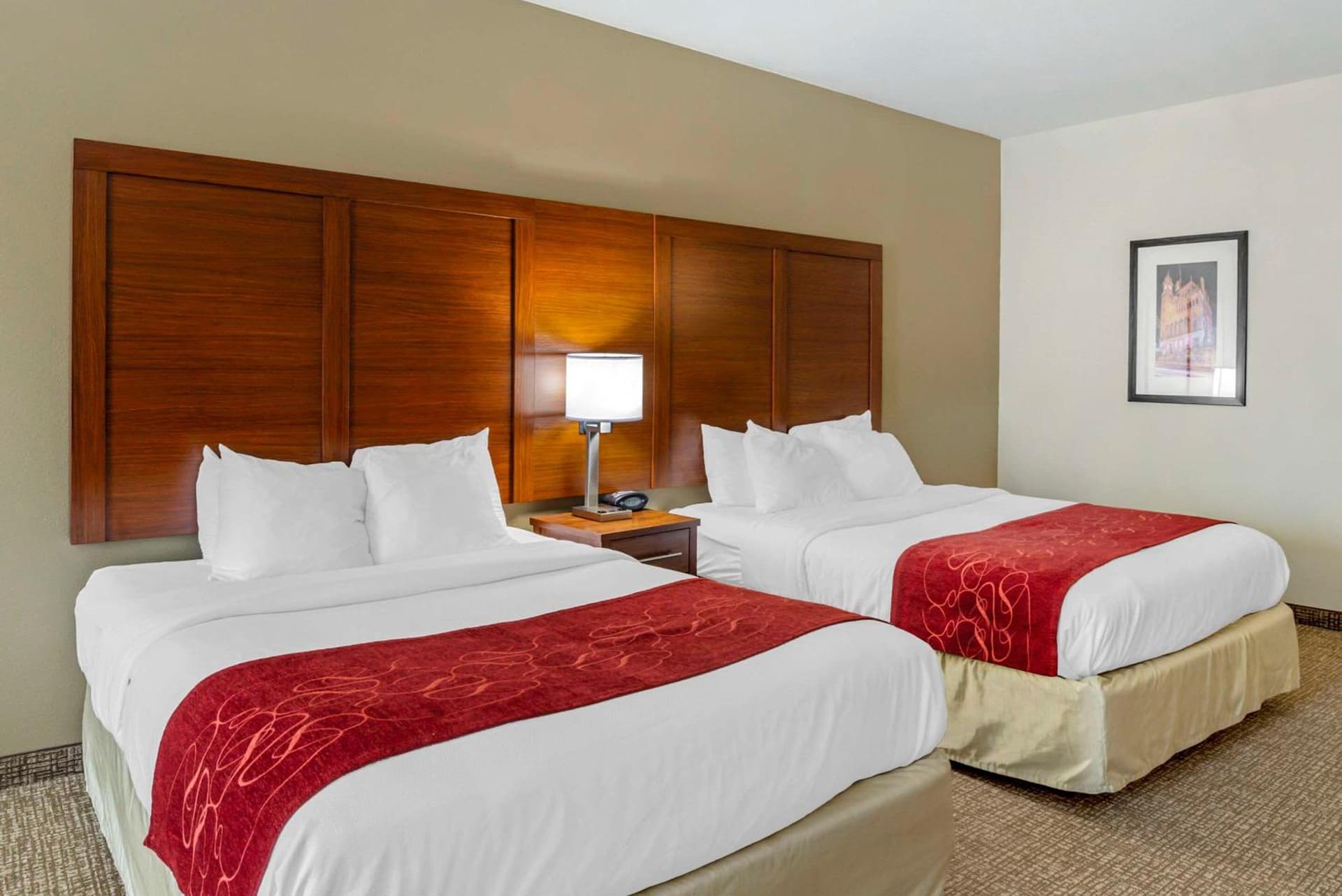 Comfort Suites At Virginia Center Commons gallery photo in Richmond, VA — image 45