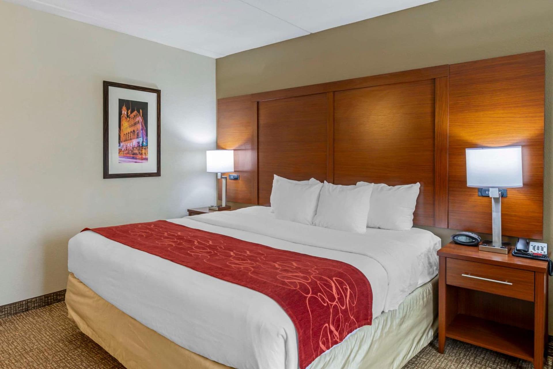 Comfort Suites At Virginia Center Commons gallery photo in Richmond, VA — image 8