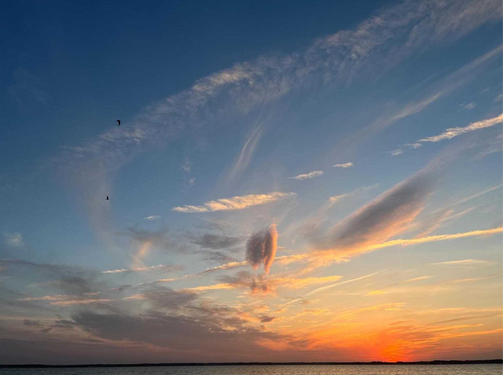 Mar Bella Boutique Hotel & Spa gallery photo in Rehoboth Beach, DE — image 77
