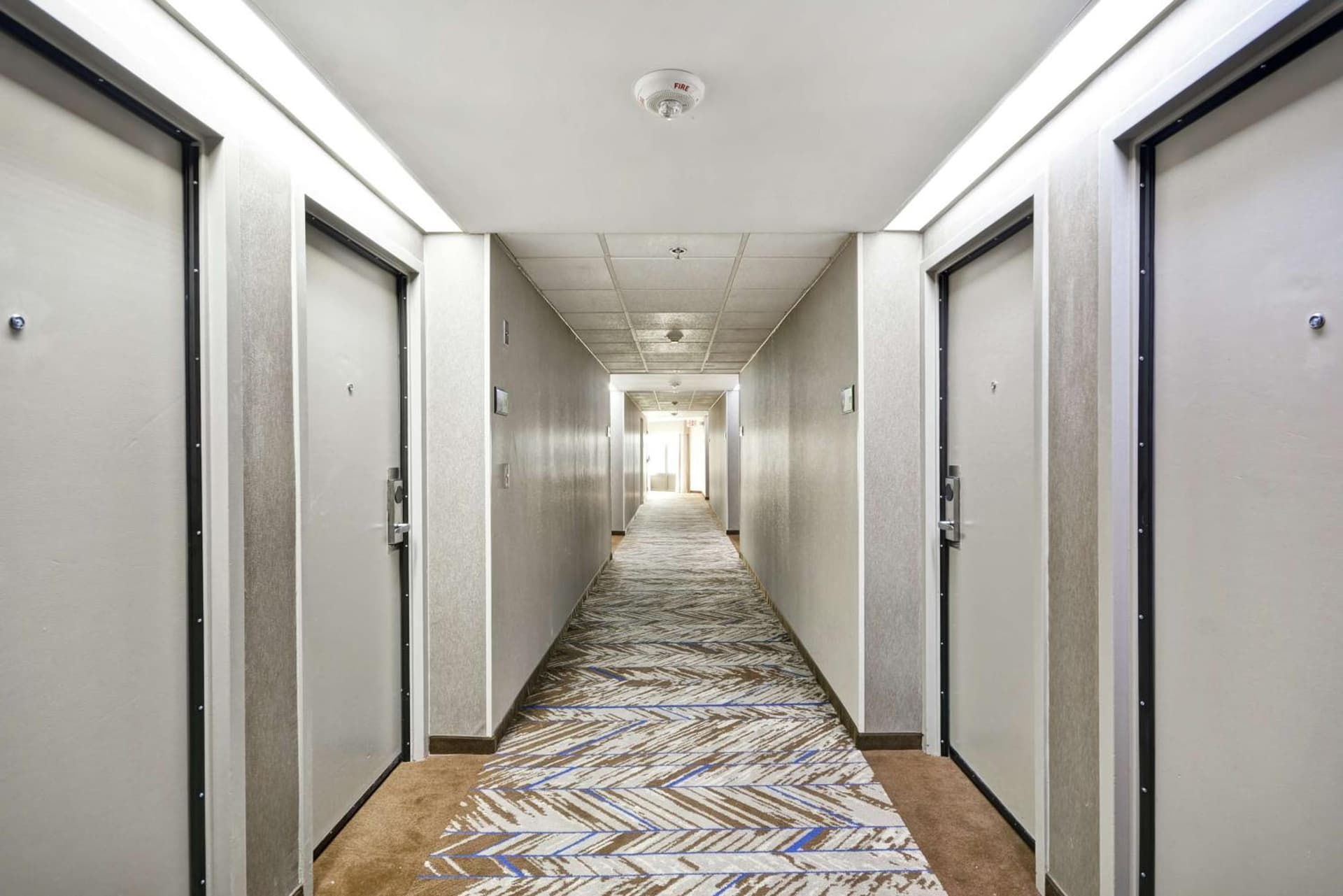 Hampton Inn Detroit Madison Heights South Troy gallery photo in Madison Heights, MI — image 17