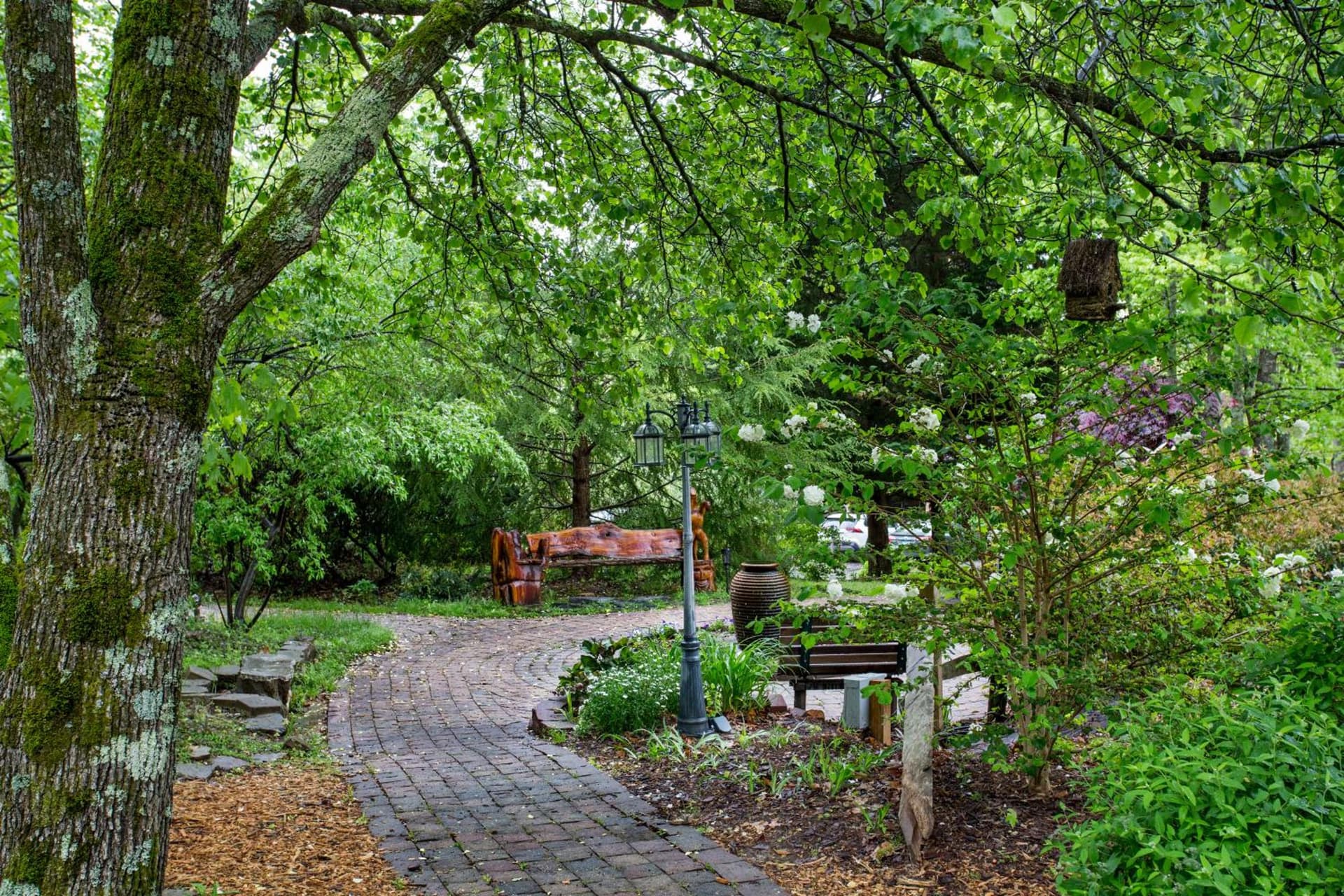 Forrest Hills Mountain Resort gallery photo in Dahlonega, GA — image 26