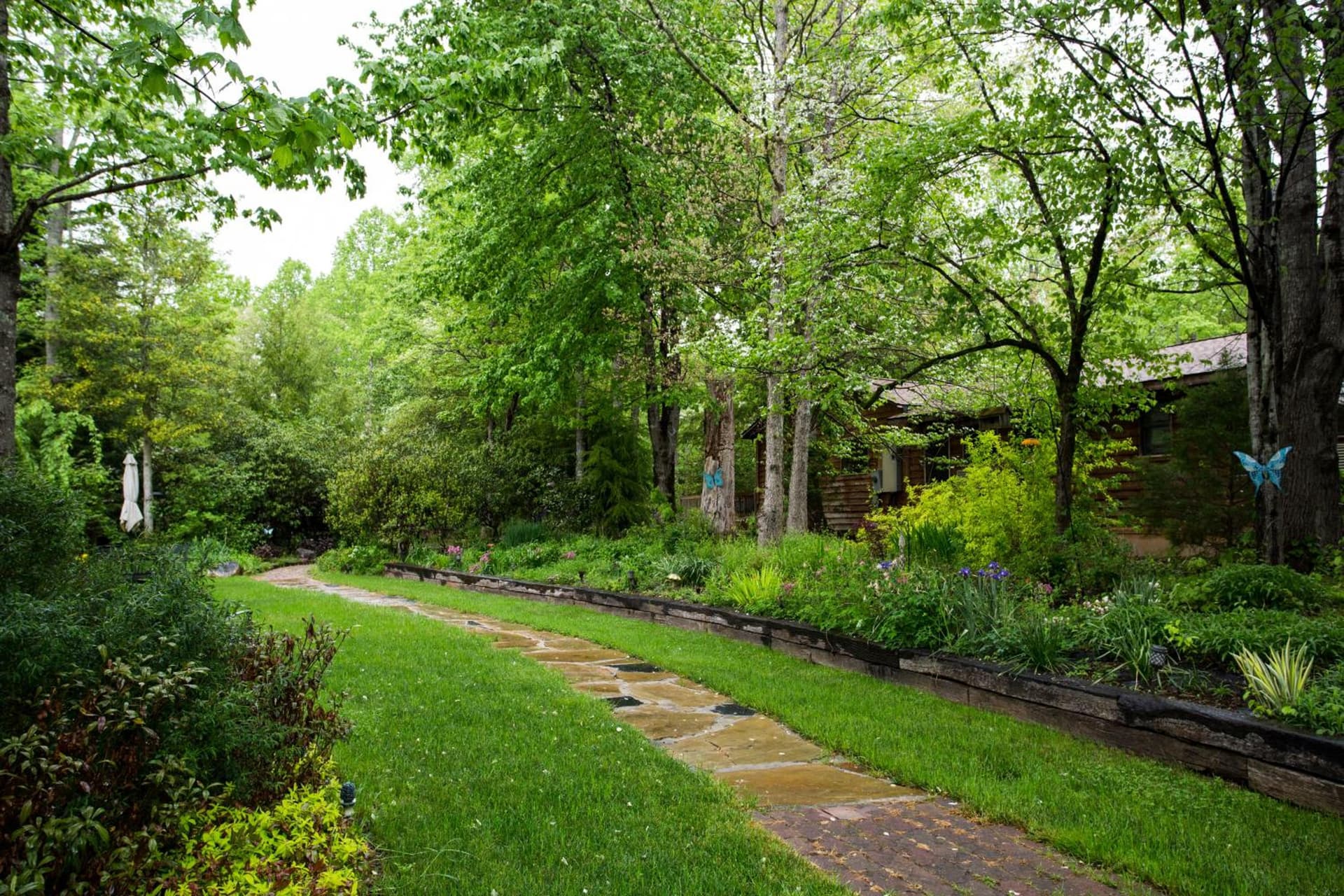 Forrest Hills Mountain Resort gallery photo in Dahlonega, GA — image 6