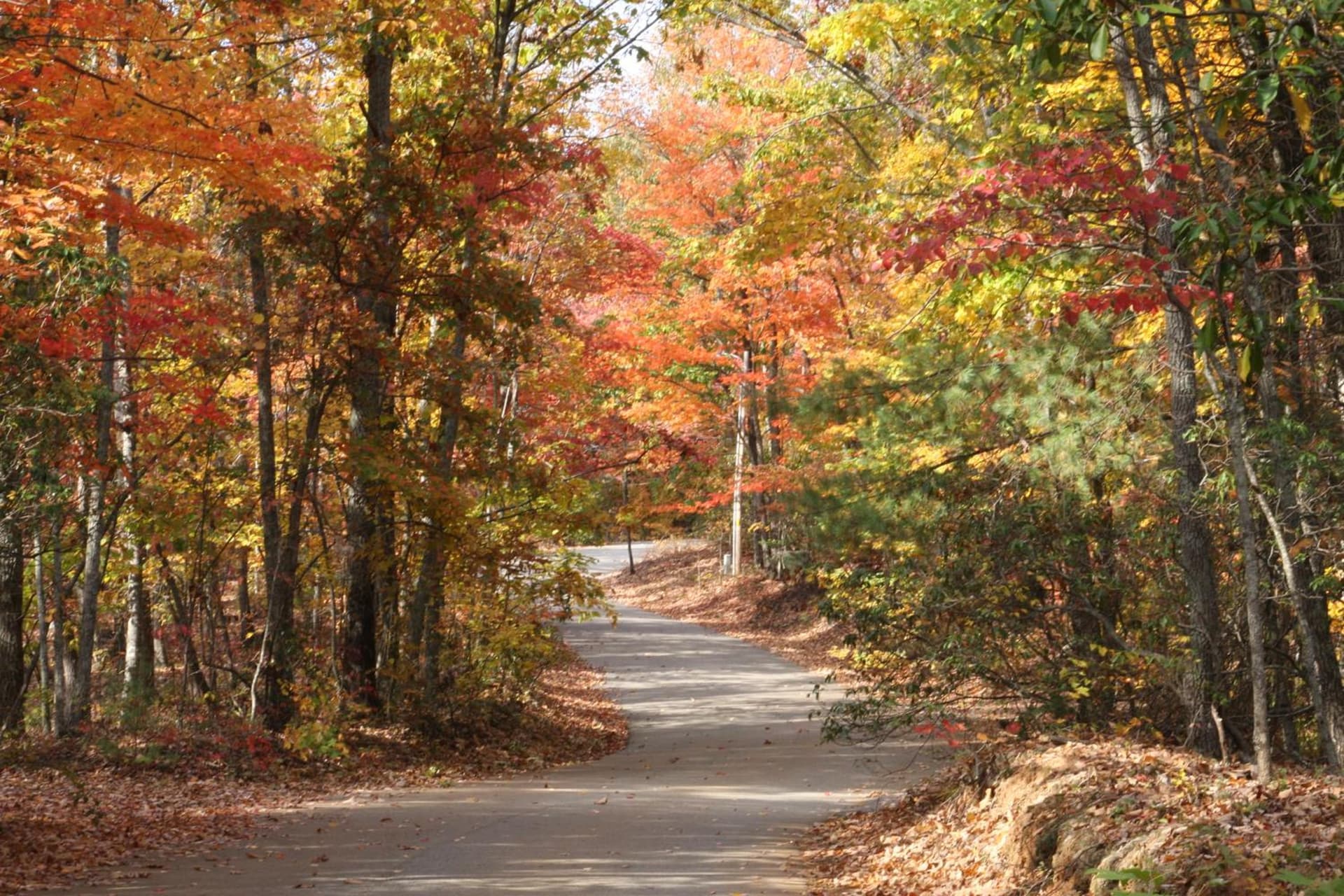 Forrest Hills Mountain Resort gallery photo in Dahlonega, GA — image 5