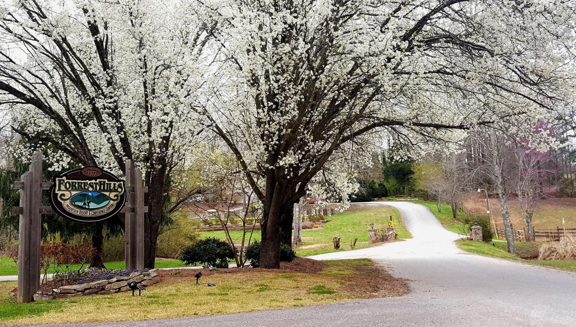Forrest Hills Mountain Resort gallery photo in Dahlonega, GA — image 28