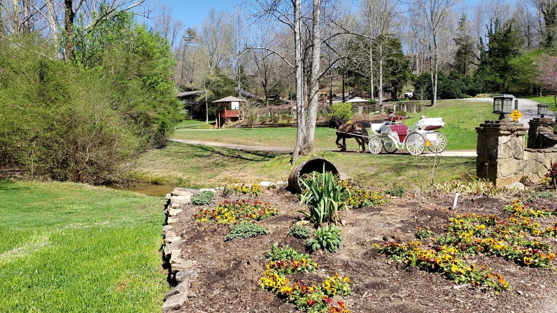 Forrest Hills Mountain Resort gallery photo in Dahlonega, GA — image 27